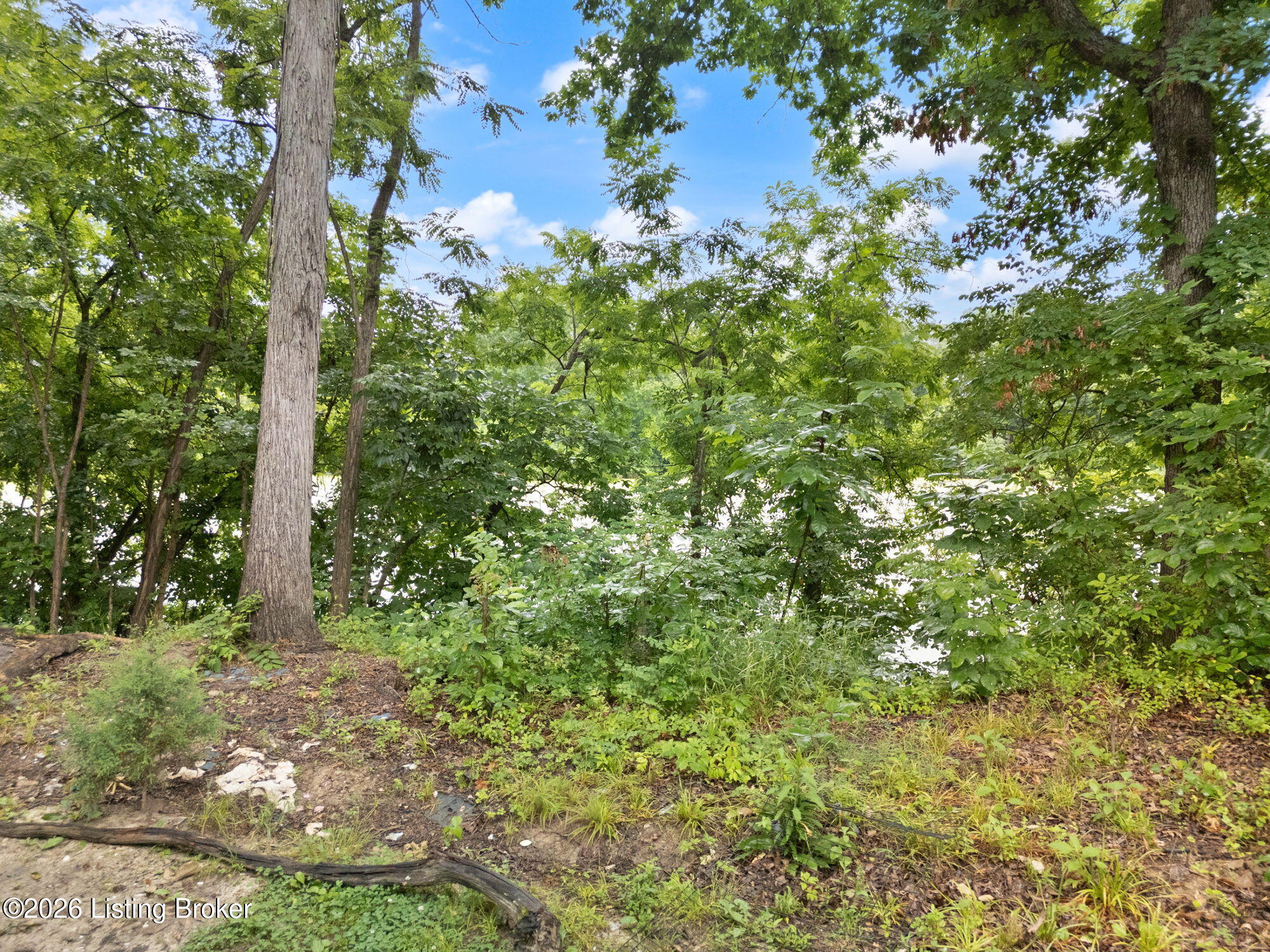 0 Caesars Ct Dr Property Photo 26