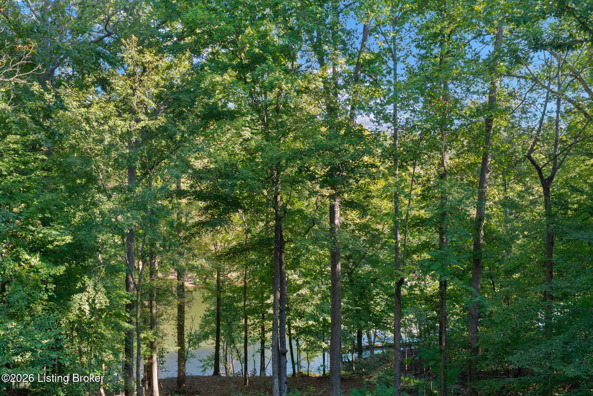 503 Michaels Cove Dr Property Photo 12