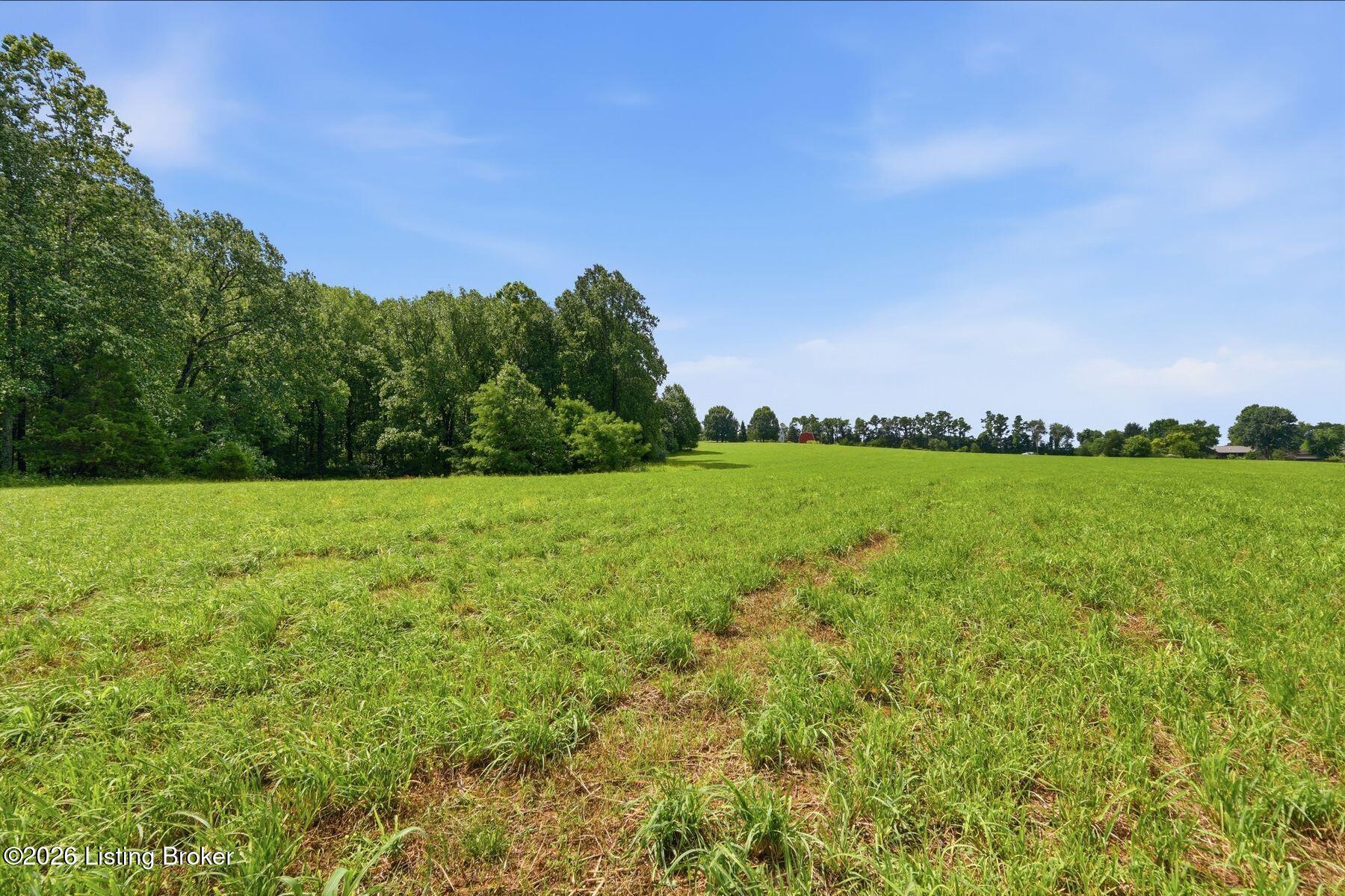 3850 Smith Ln Property Photo 17