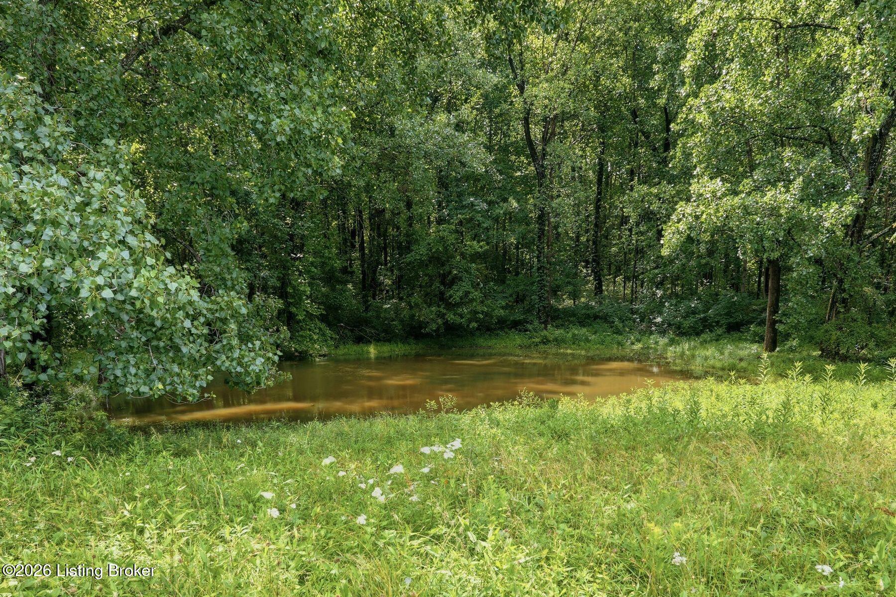 3850 Smith Ln Property Photo 18