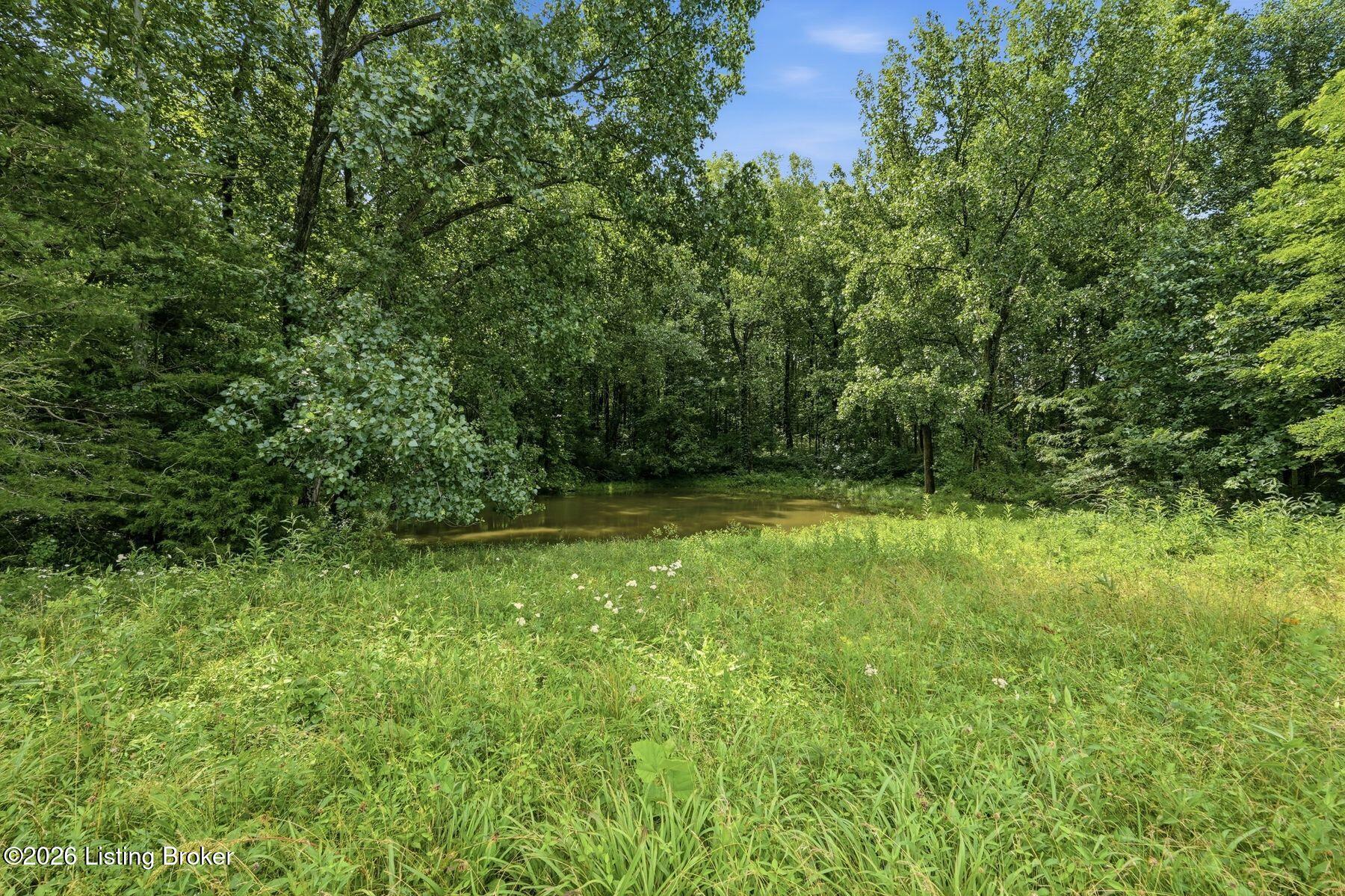 3850 Smith Ln Property Photo 19