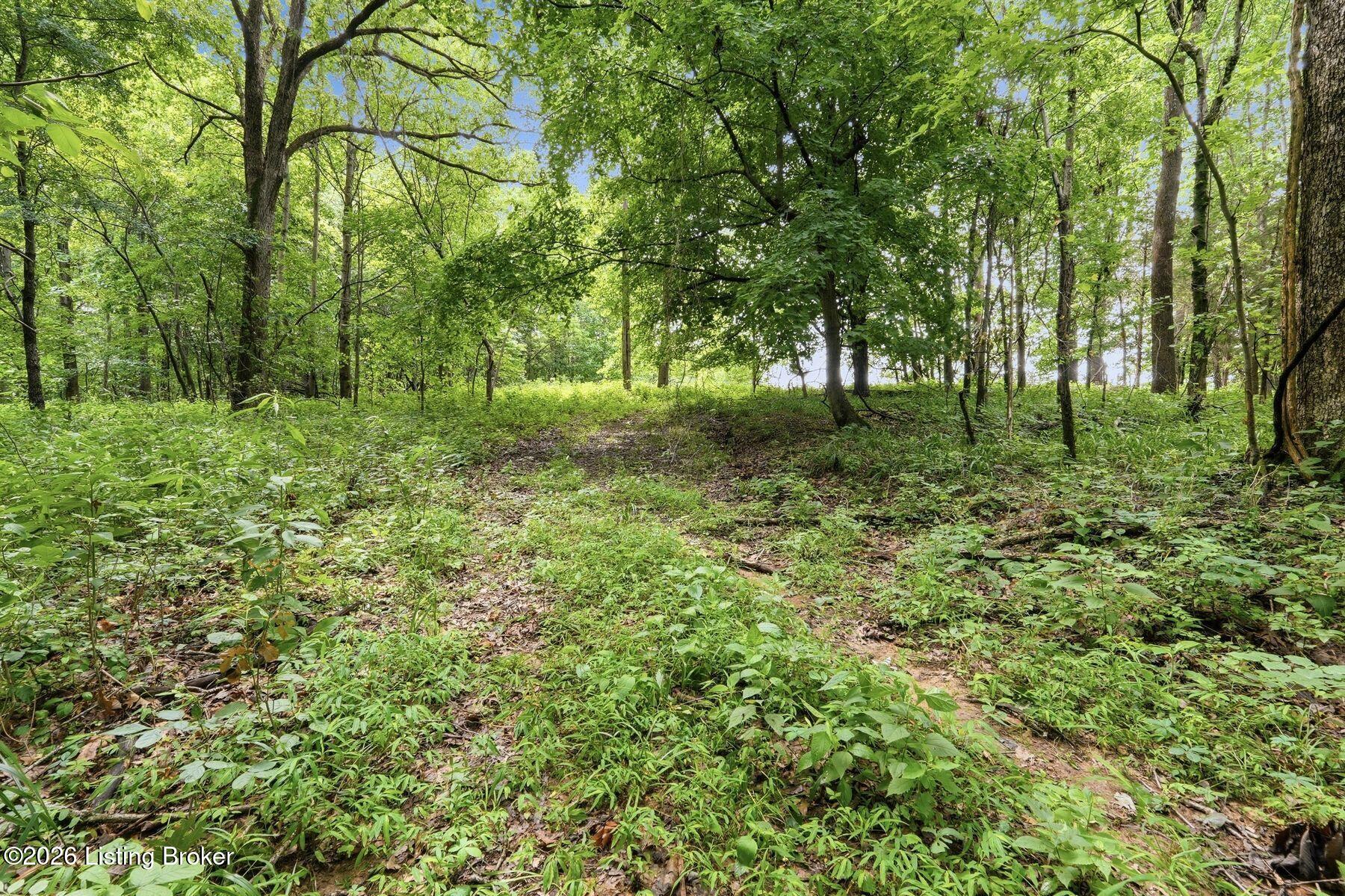 3850 Smith Ln Property Photo 22
