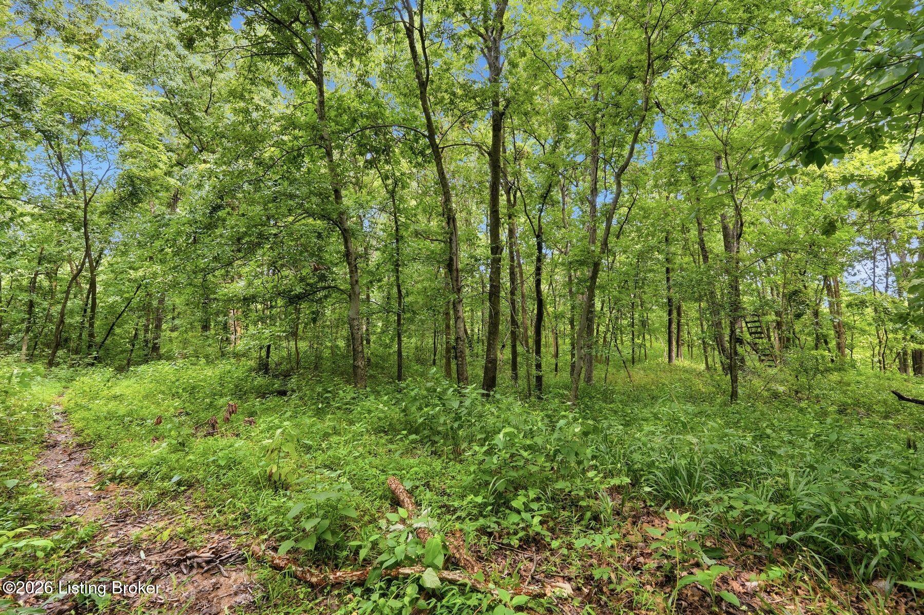 3850 Smith Ln Property Photo 24