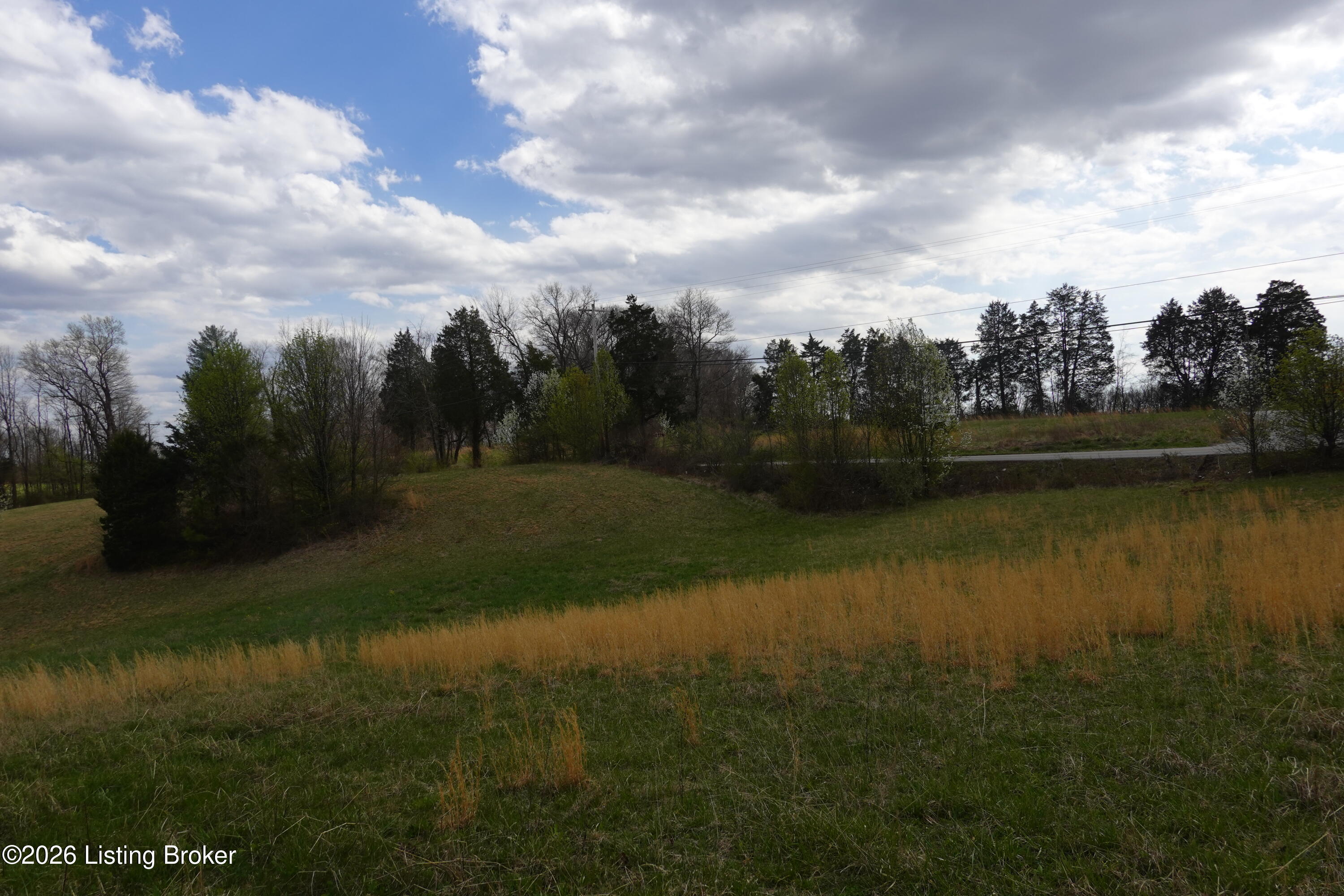 680 Hwy 3091 Property Photo 5