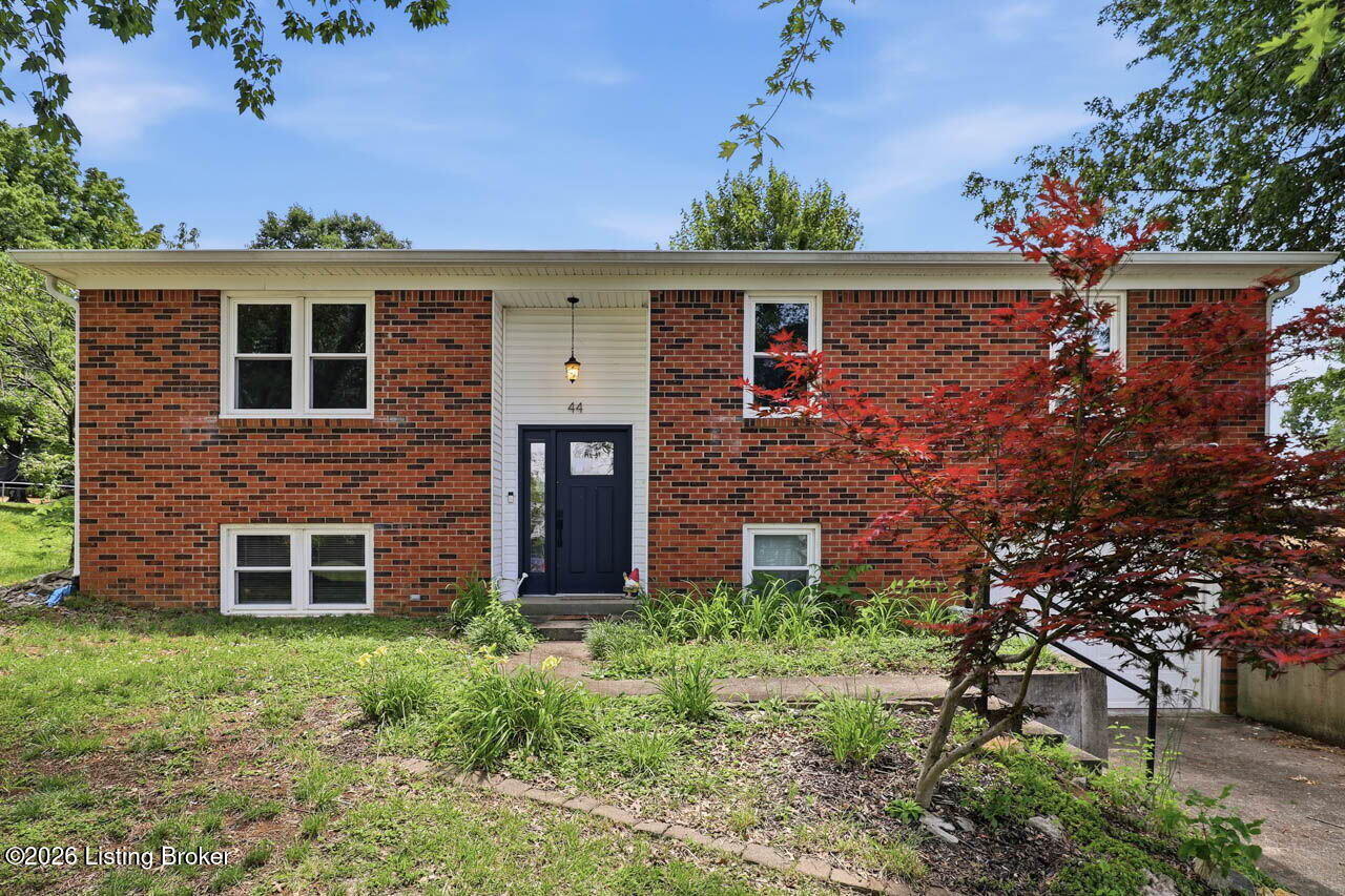 44 Tinted Cloud Cir