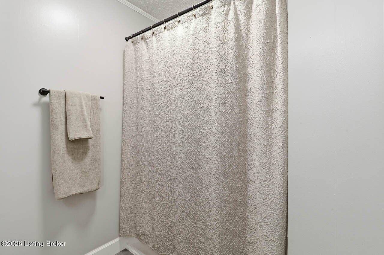 44 Tinted Cloud Cir Property Photo 24