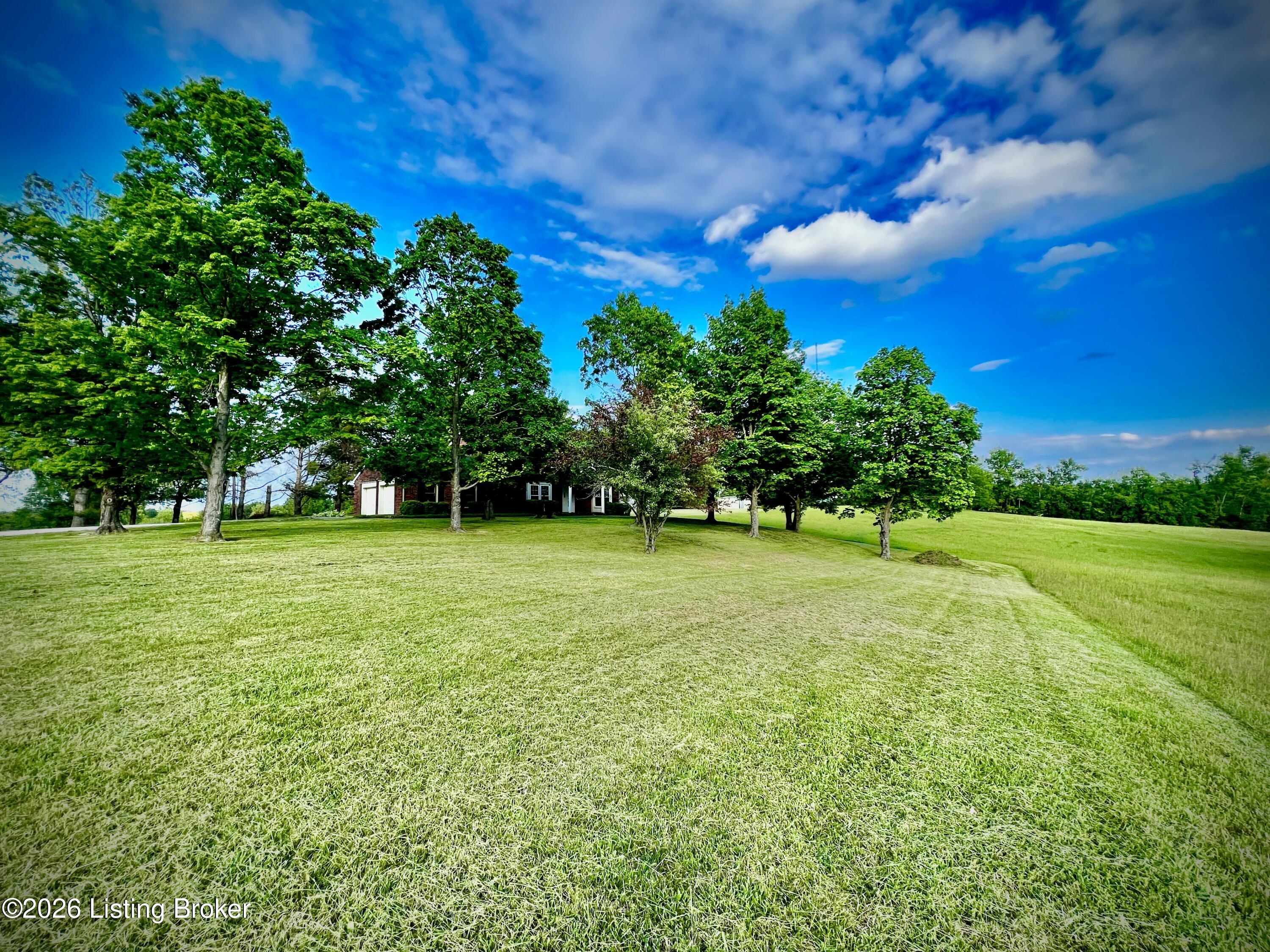 225 Donna Ave Property Photo 39