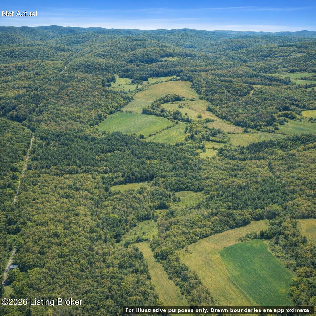 0 Garfield-lodiburg Rd Property Photo 10