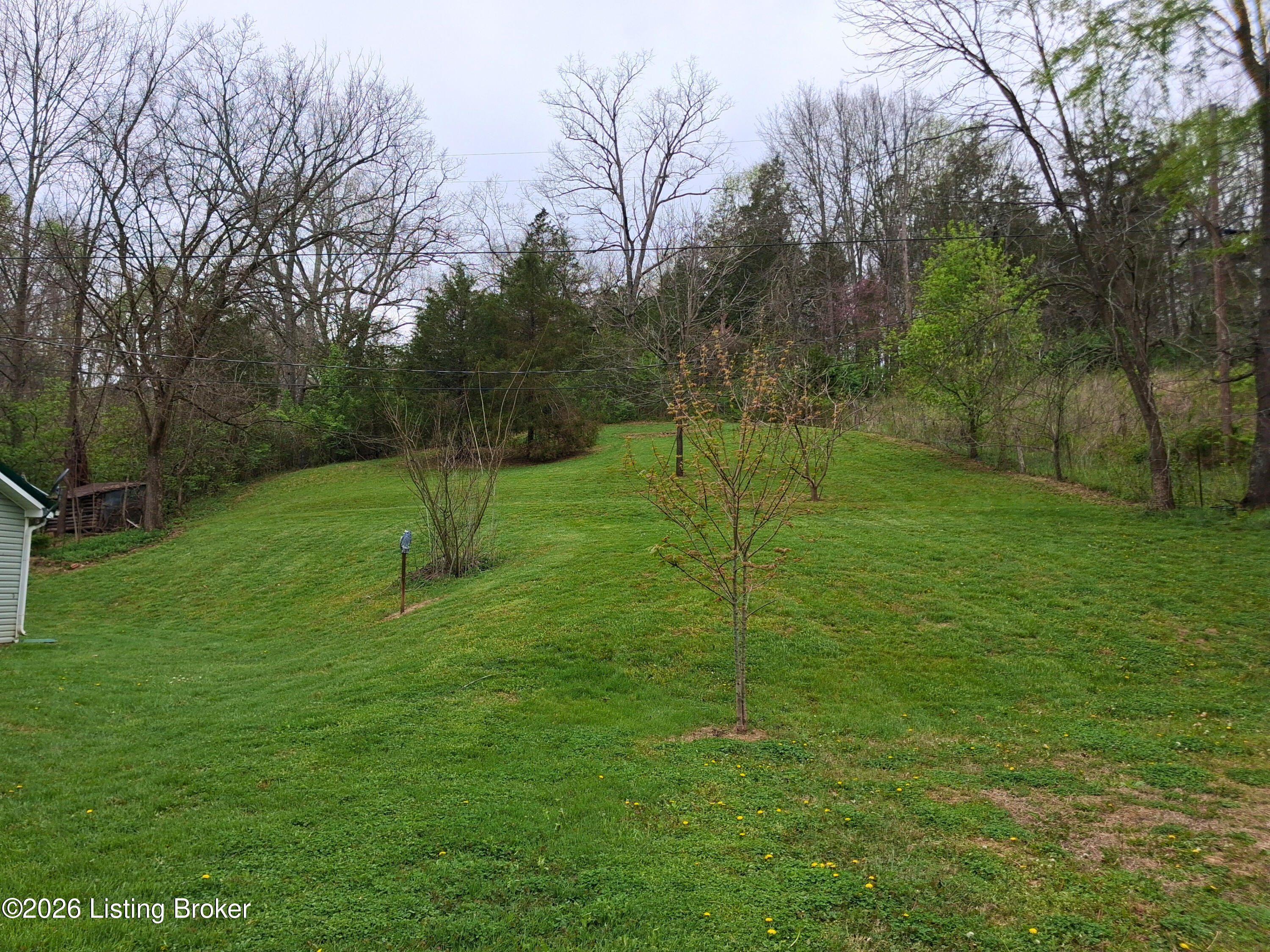 300 Dutchmans Creek Rd Property Photo 23