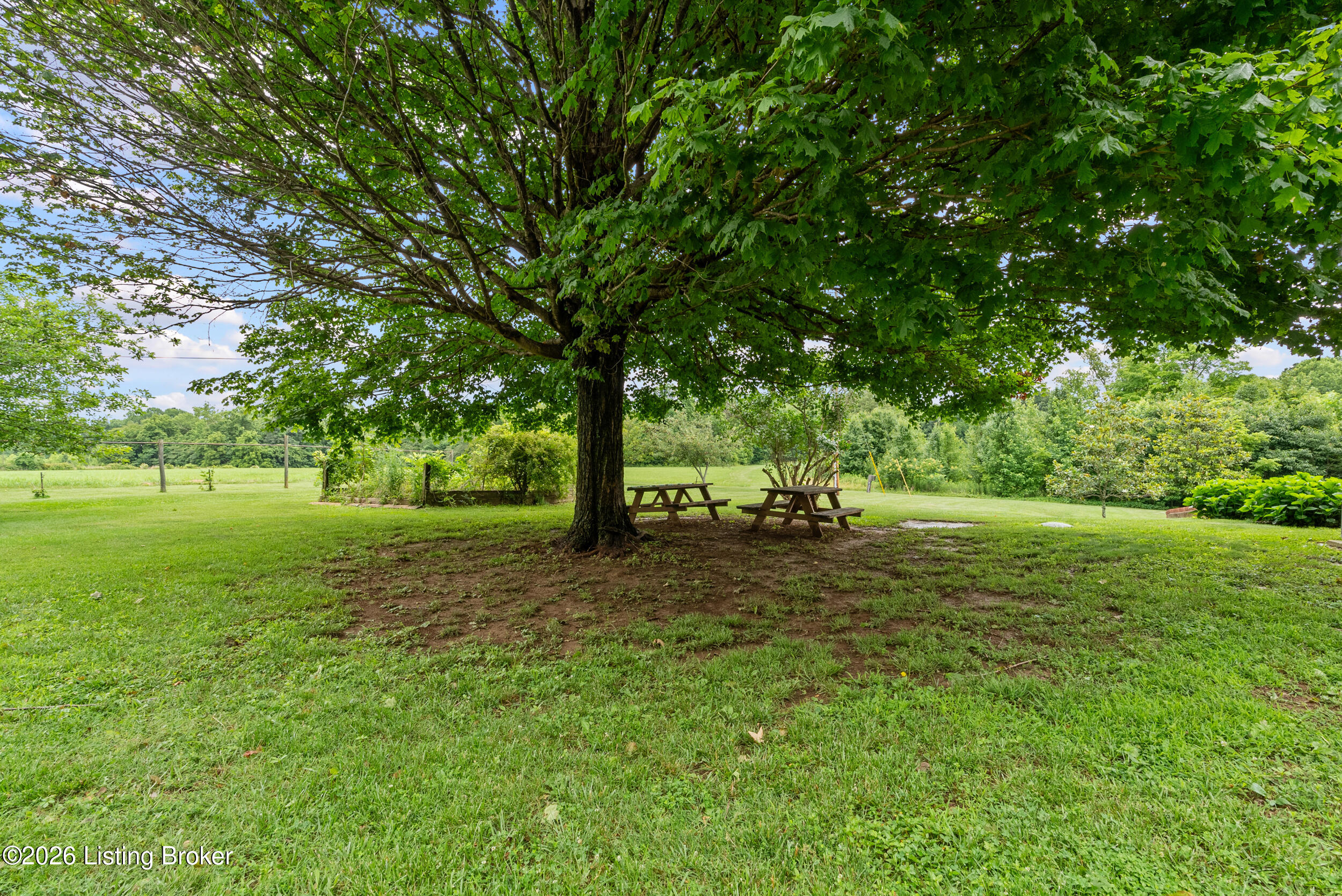 2240 Little Bend Rd Property Photo 81