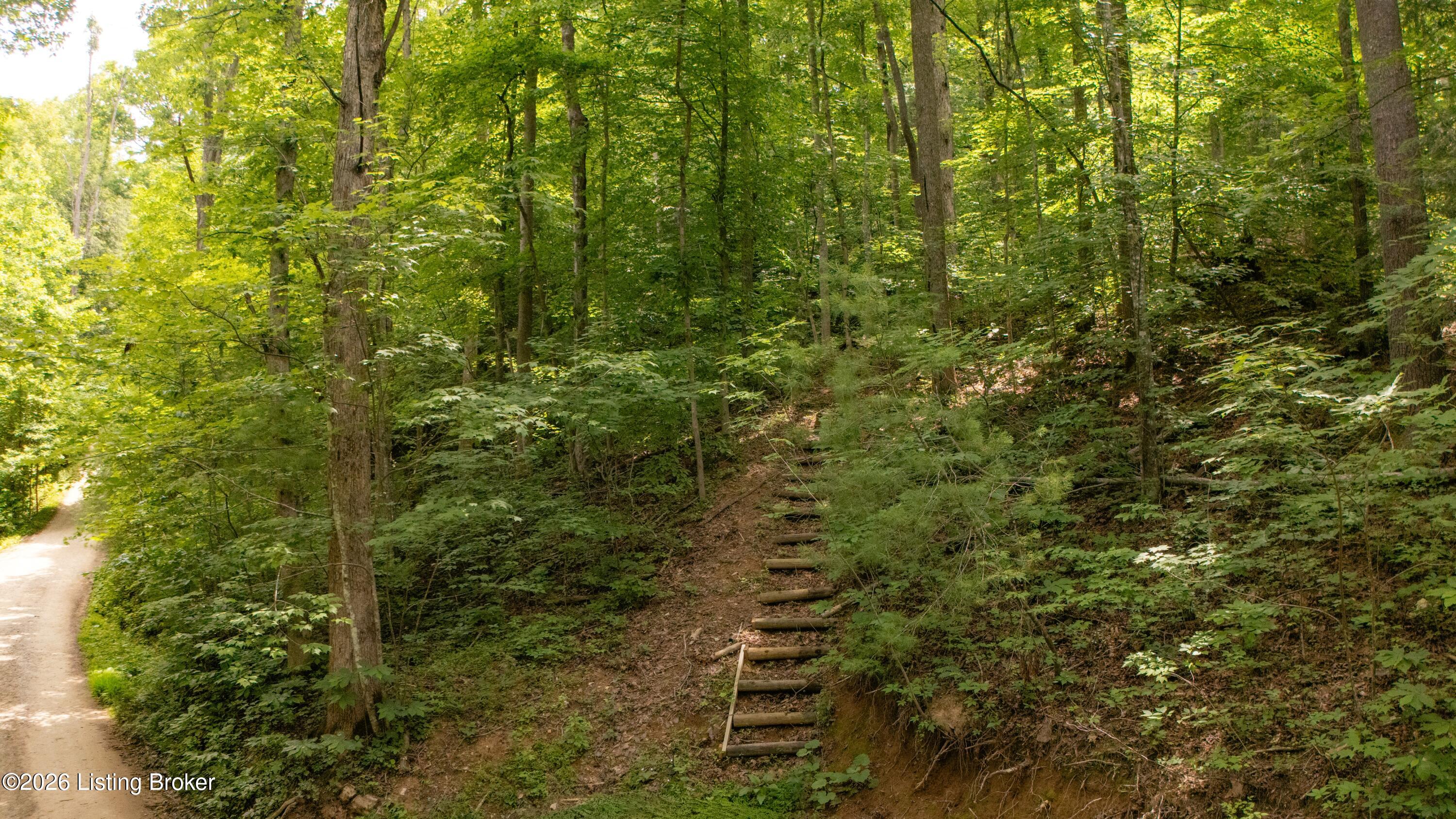 4 Black Bear Ridge Rd Property Photo 2
