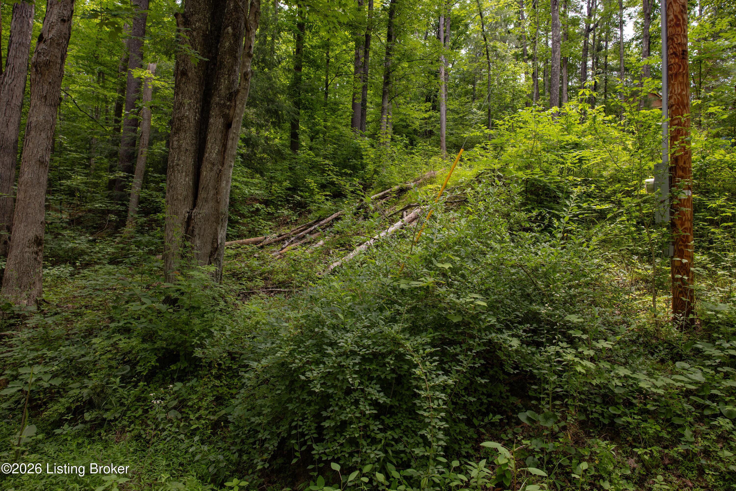 4 Black Bear Ridge Rd Property Photo 3