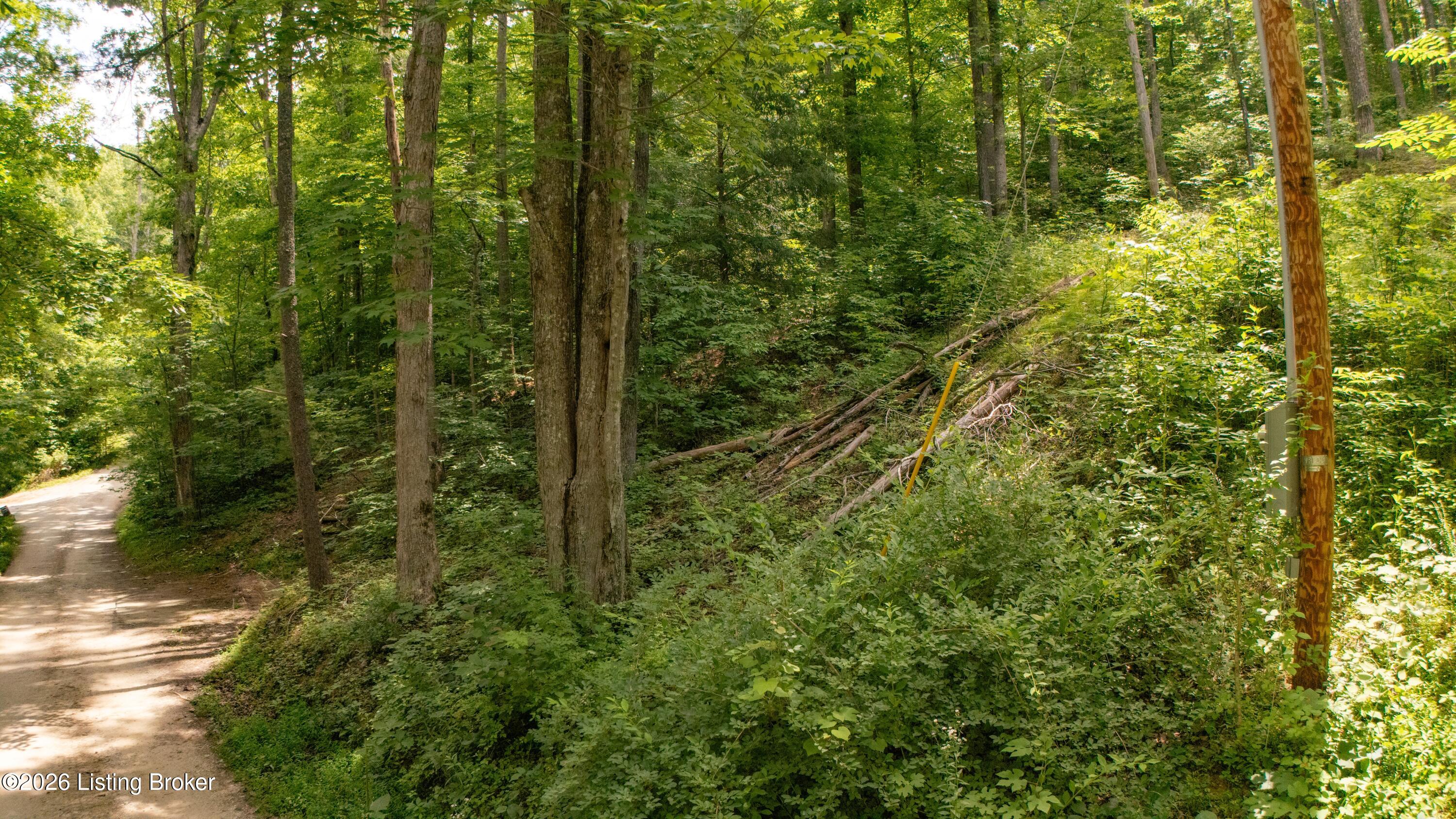 4 Black Bear Ridge Rd Property Photo 6