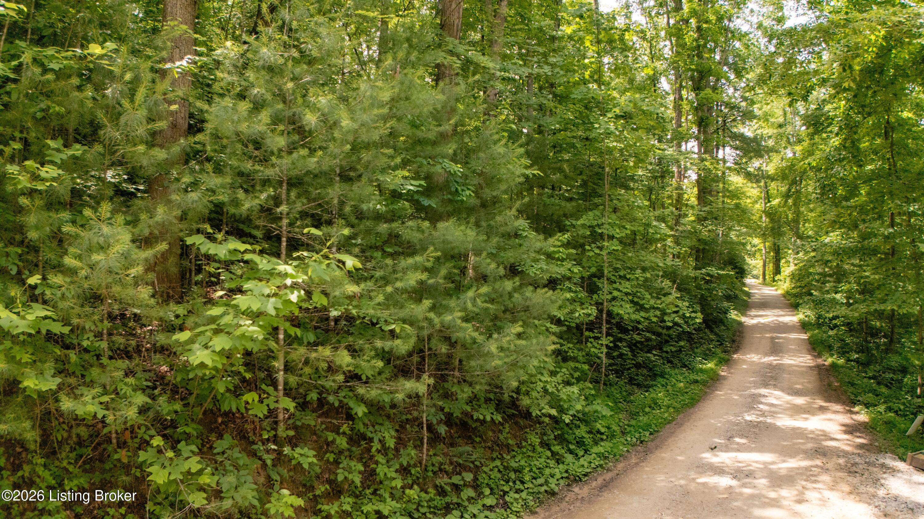 4 Black Bear Ridge Rd Property Photo 8