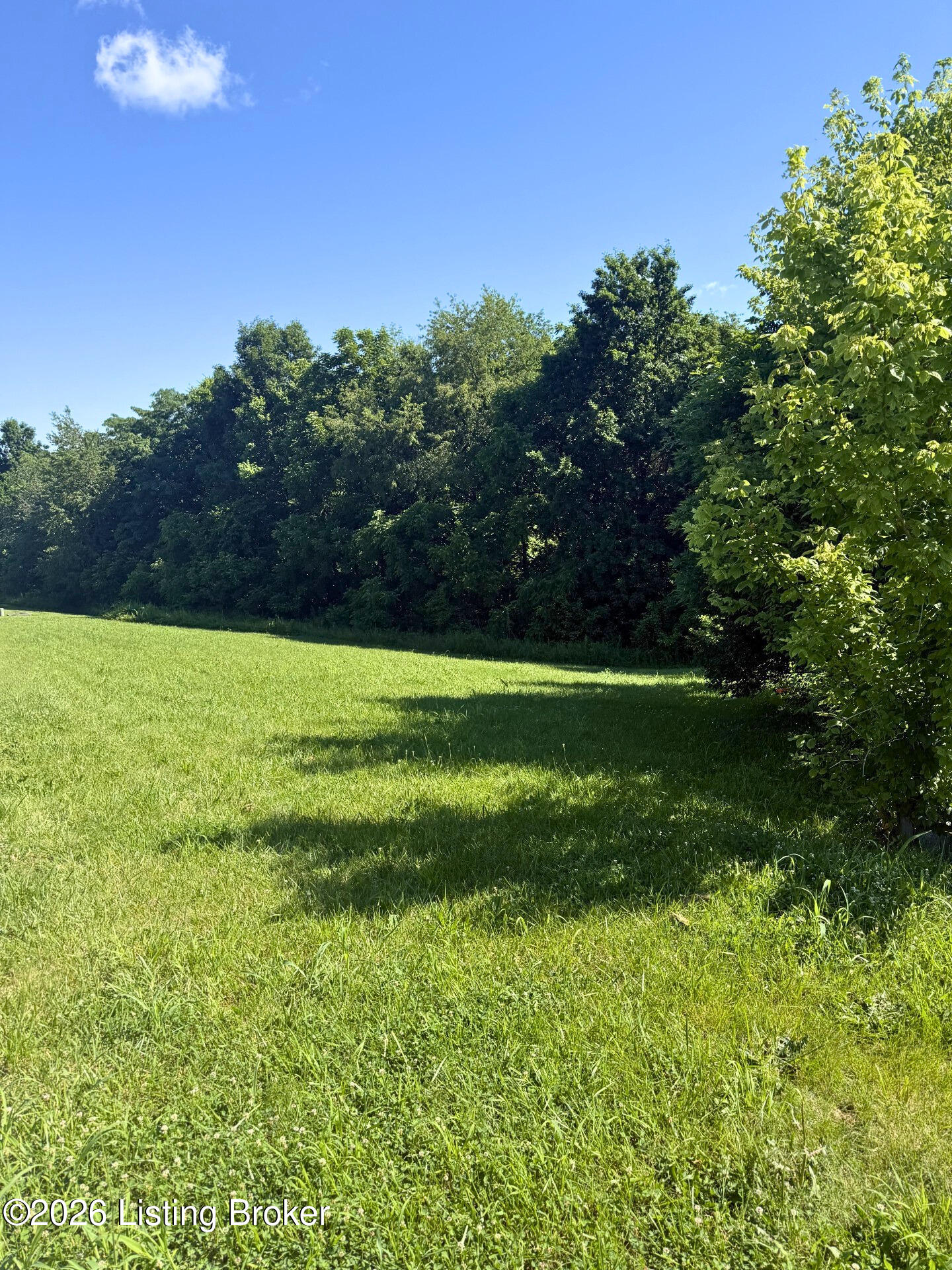 28 Chelsey Park Dr Property Photo 2
