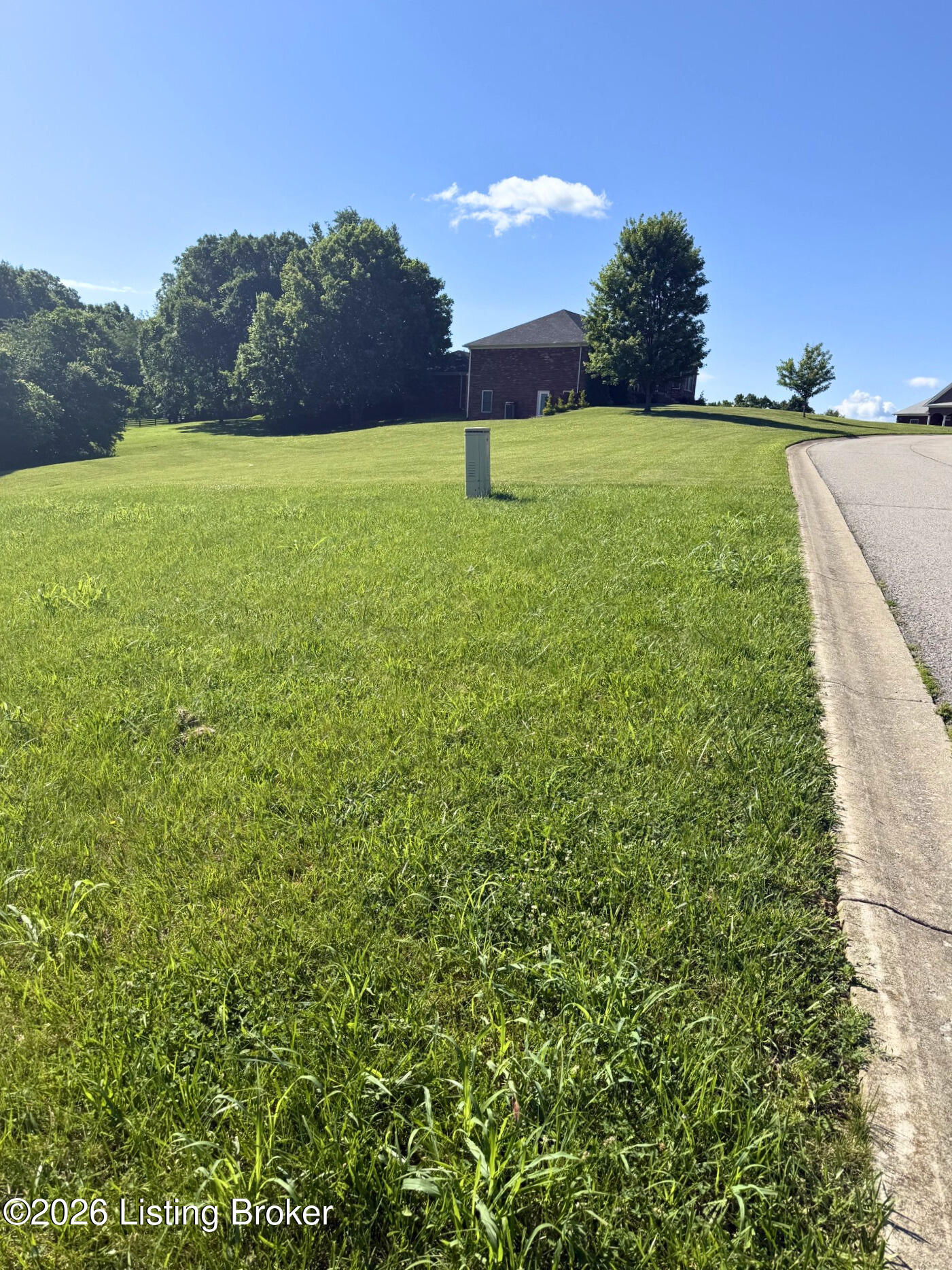 28 Chelsey Park Dr Property Photo 3