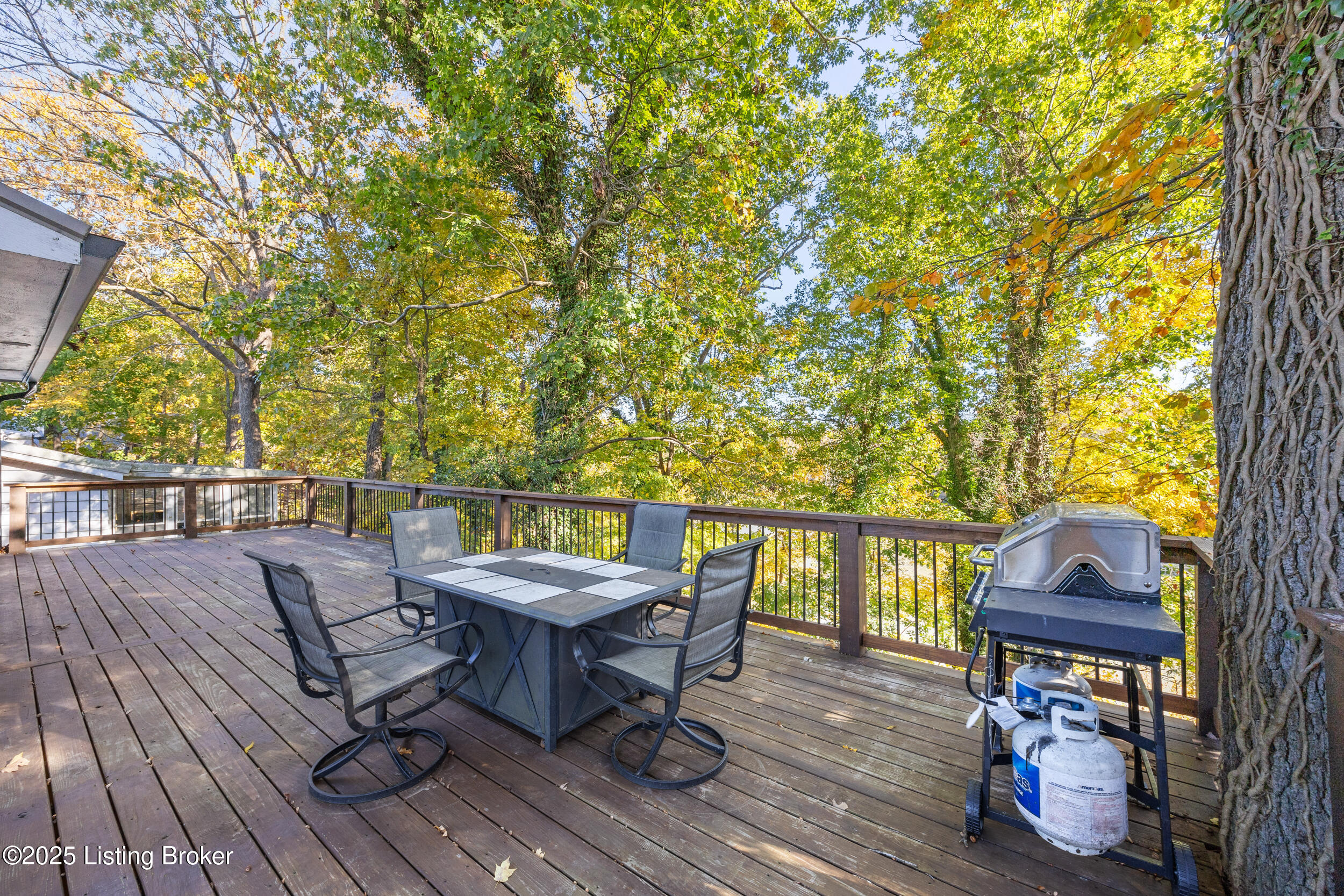 646 Rough River Resort Rd Property Photo 22