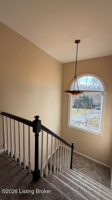 3124 Yorkshire Dr Property Photo 26