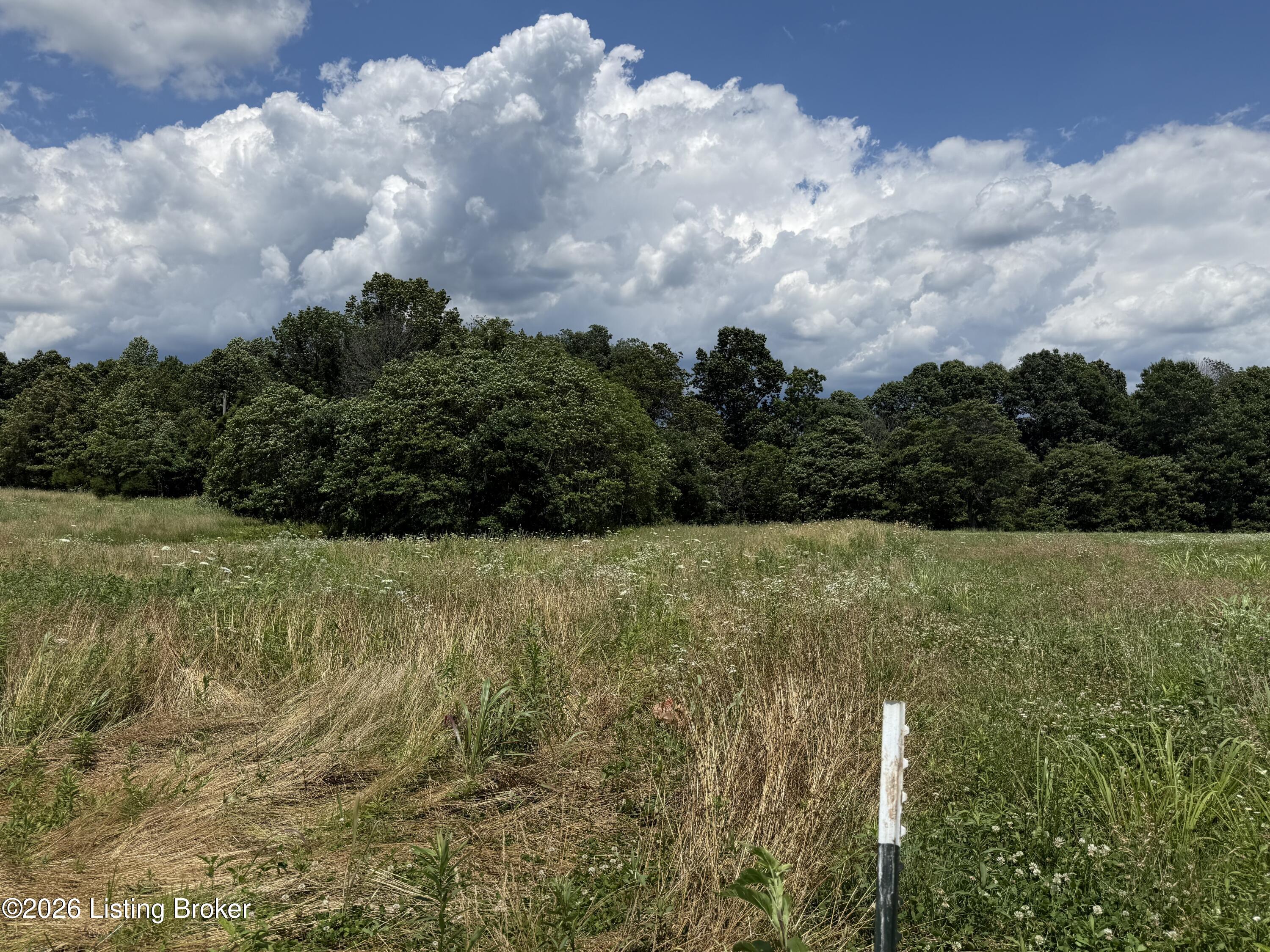 3003 Hardin Springs Rd Property Photo 5