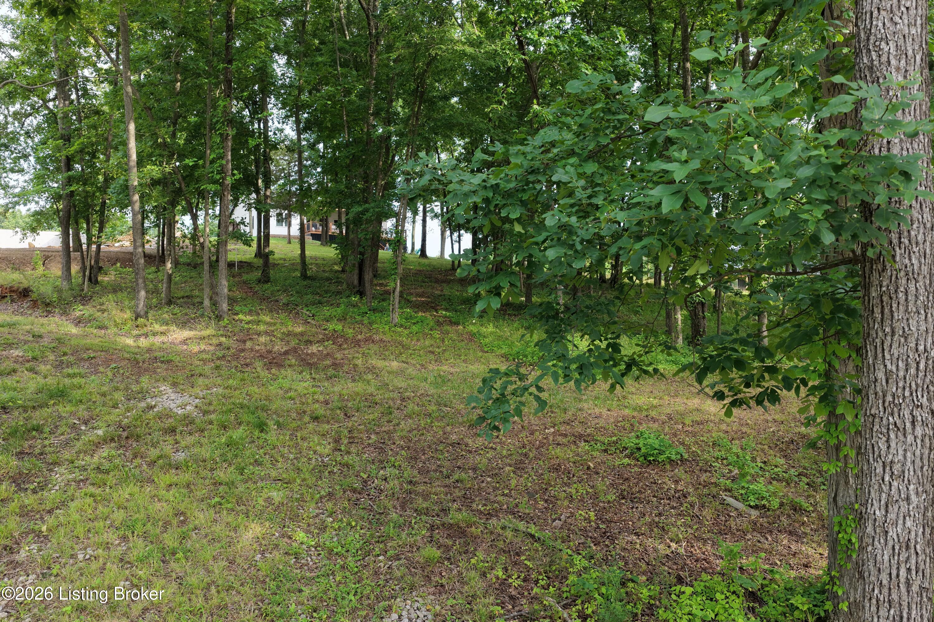 30 Stargazer Ln Rd Property Photo 6