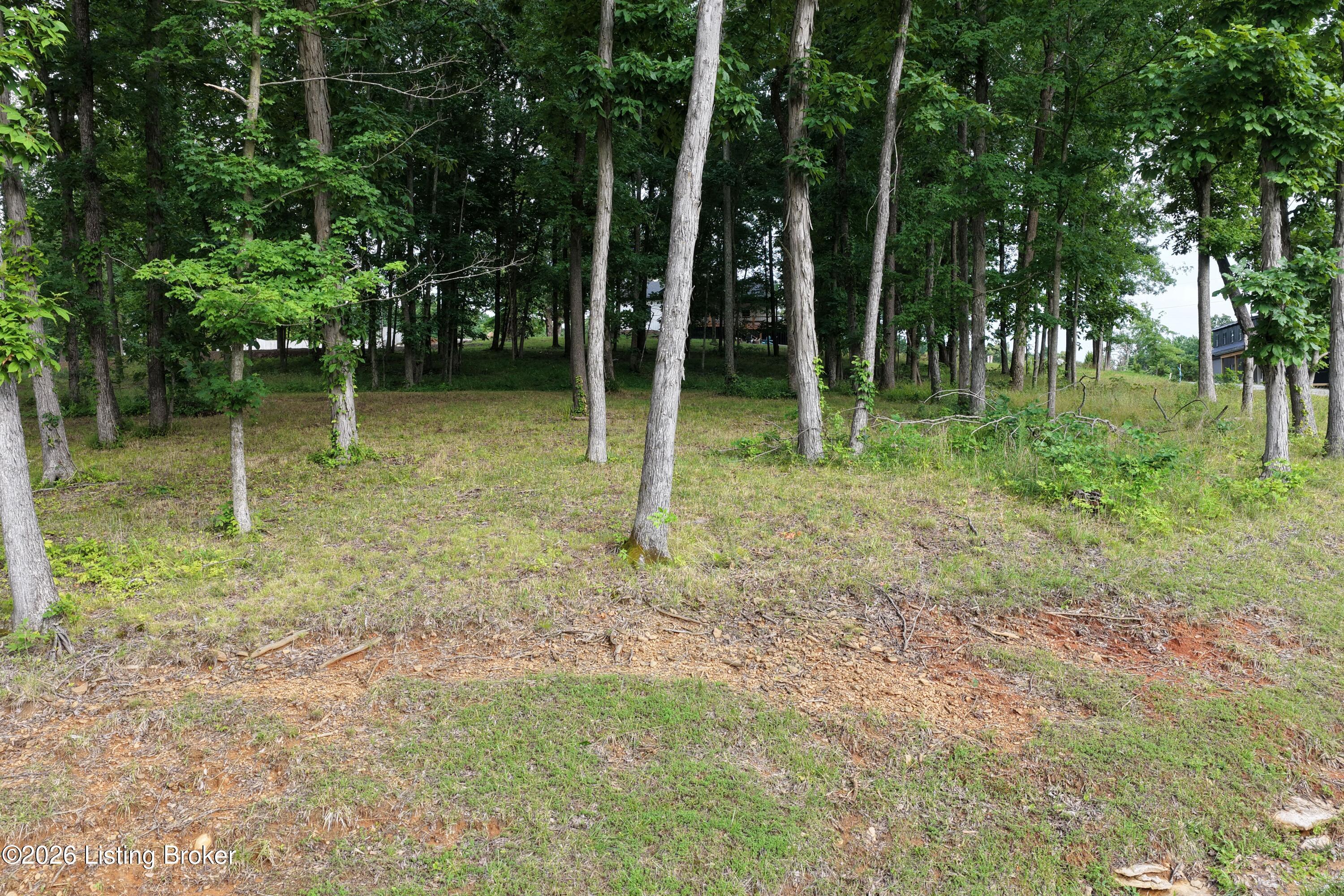 30 Stargazer Ln Rd Property Photo 8