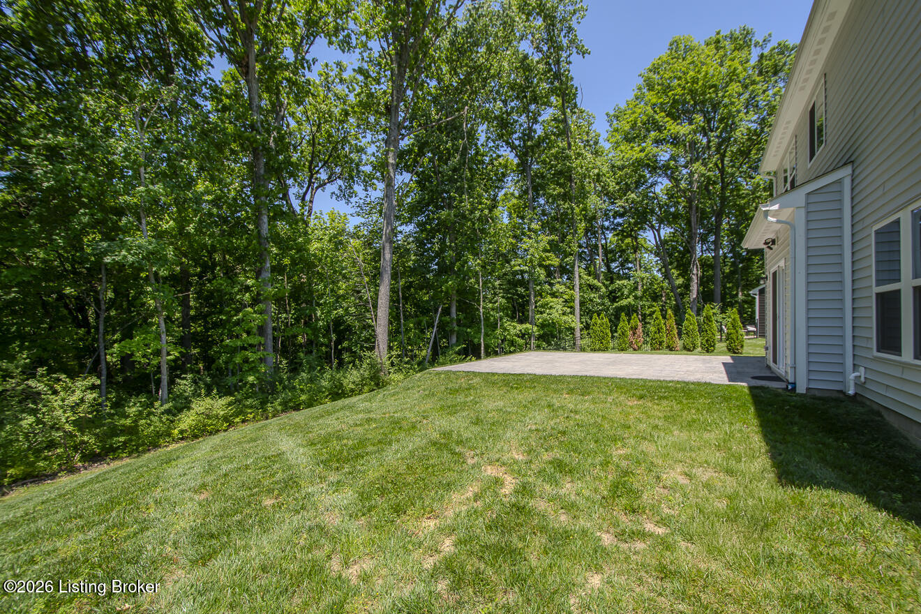 17801 Bridle Run Dr Property Photo 78
