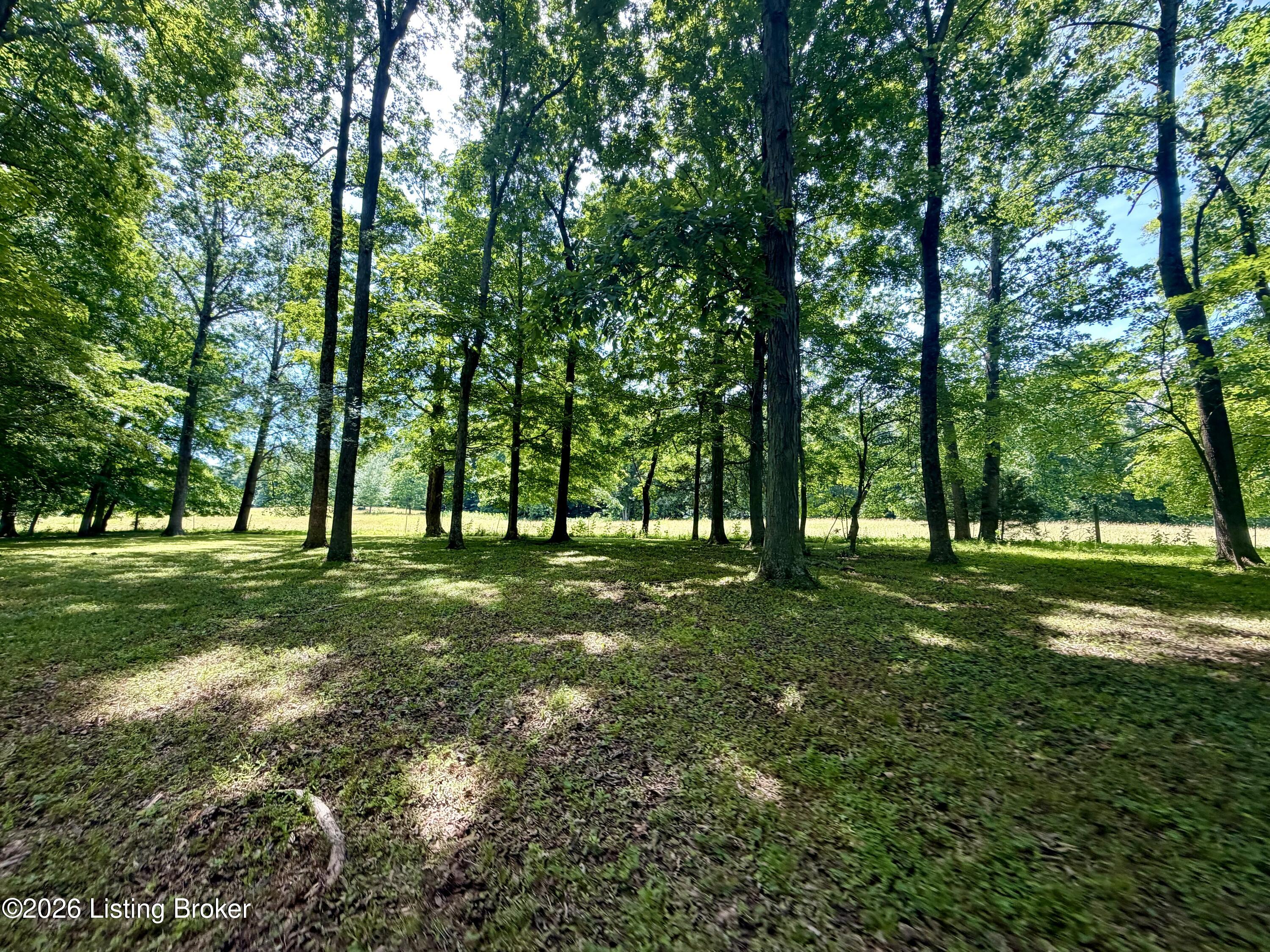 540 Stringtown Rd Property Photo 61