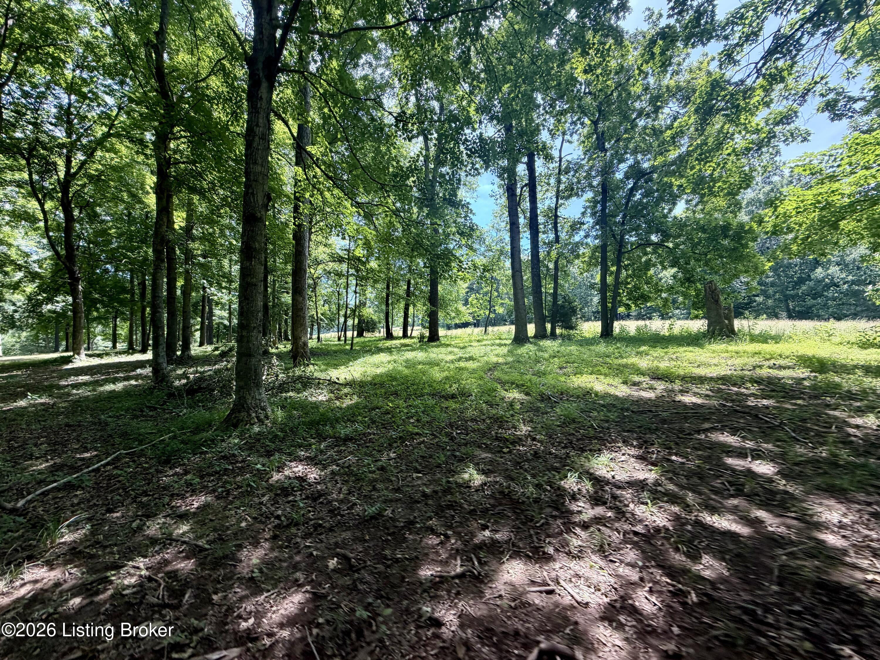 540 Stringtown Rd Property Photo 62