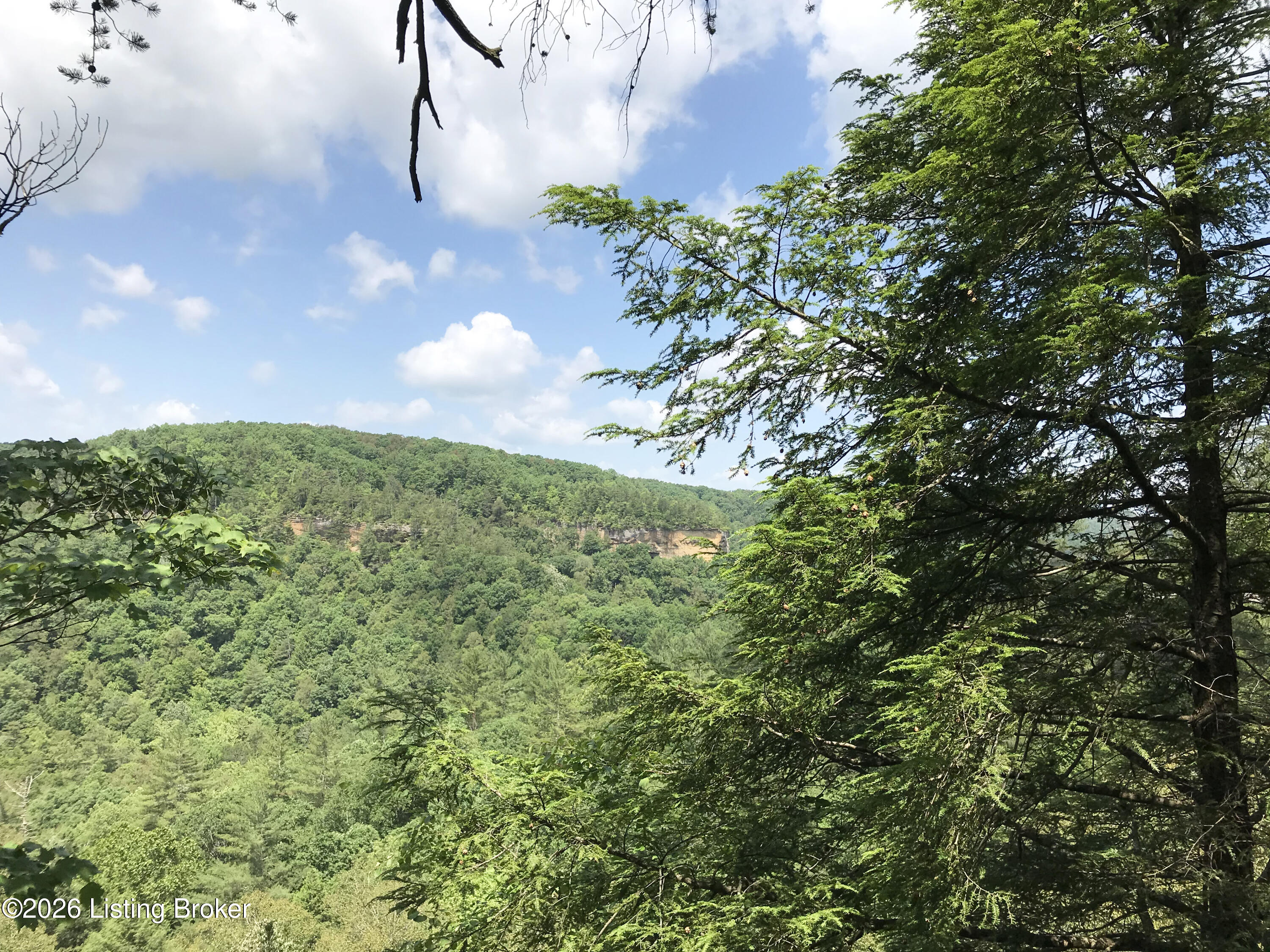 578 Scenic Heights Rd Property Photo 21