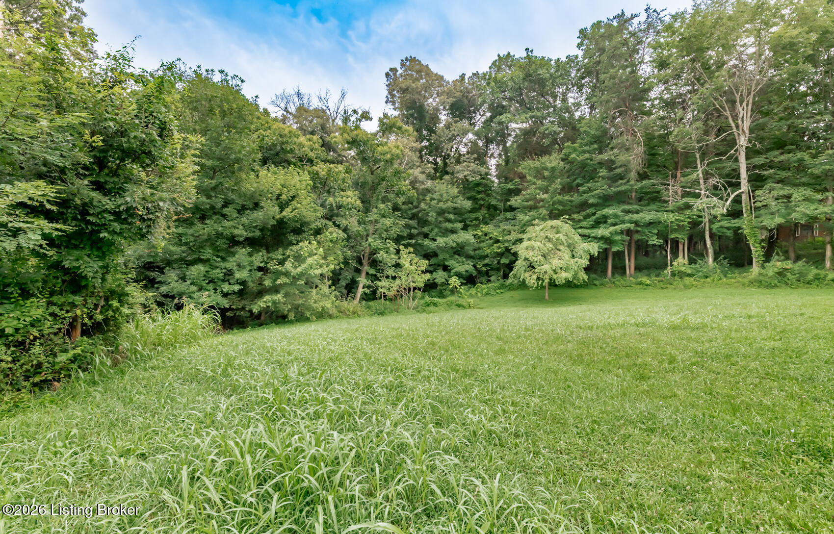 369 Meadowview Dr Property Photo 70