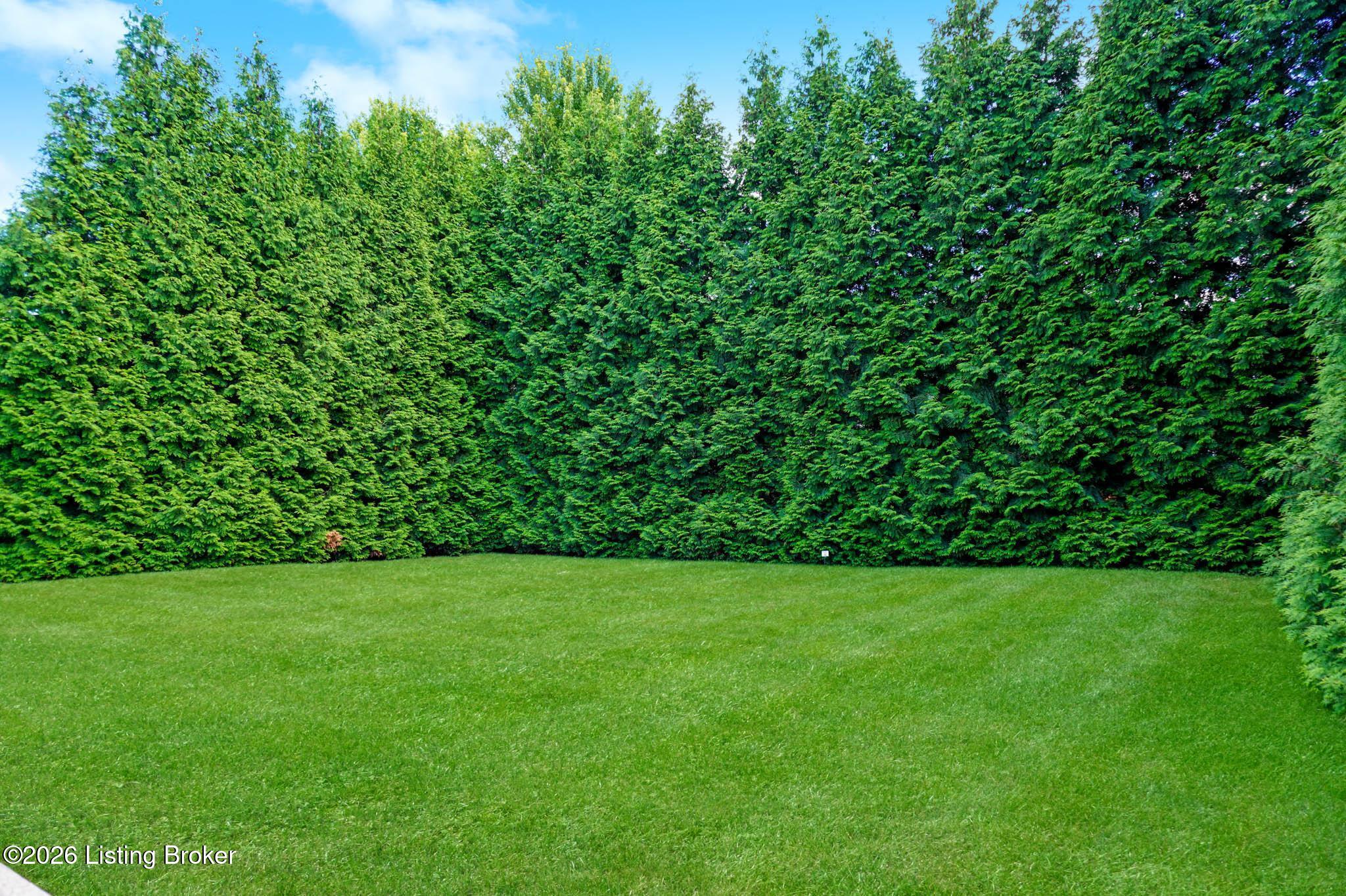 6608 Eastwind Way Property Photo 85