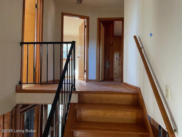 246 Eva-michele Ln Property Photo 11