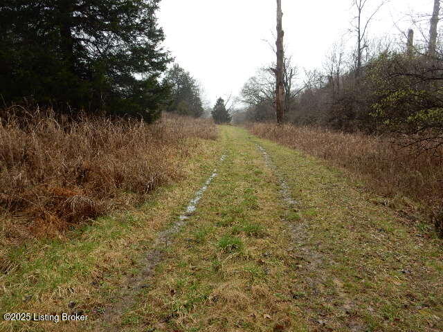 246 Eva-michele Ln Property Photo 18