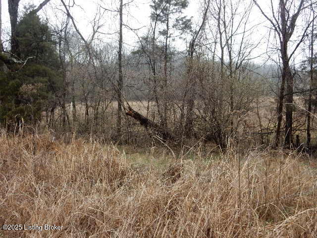 246 Eva-michele Ln Property Photo 20