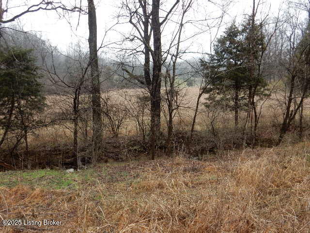 246 Eva-michele Ln Property Photo 21