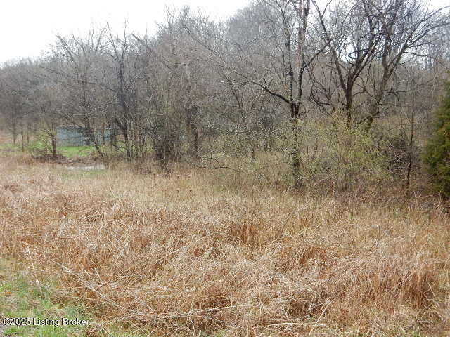 246 Eva-michele Ln Property Photo 23