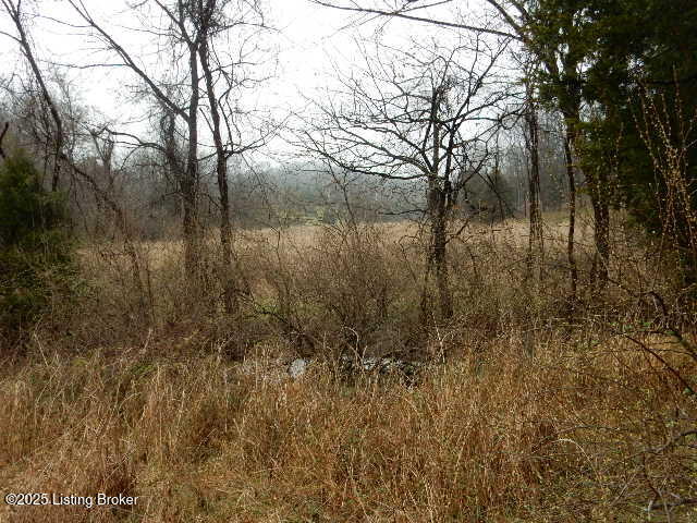 246 Eva-michele Ln Property Photo 24