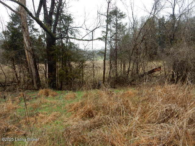 246 Eva-michele Ln Property Photo 27