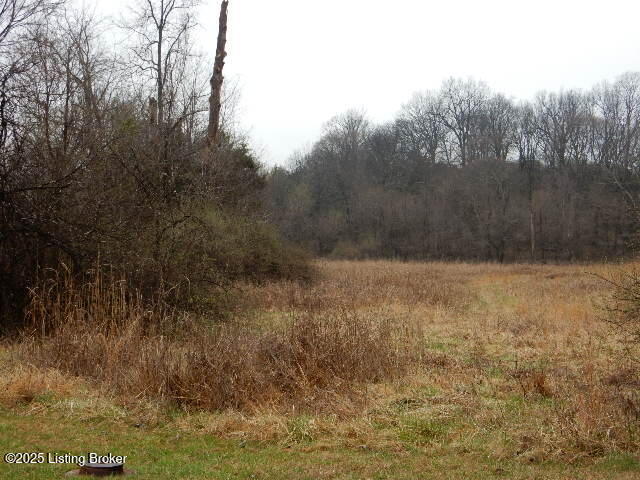 246 Eva-michele Ln Property Photo 28