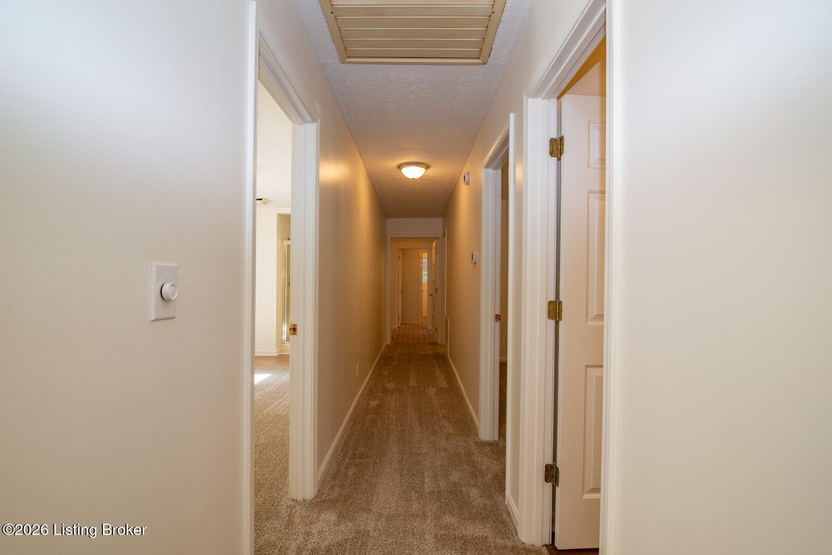 70 Dreamland Rd Property Photo 35