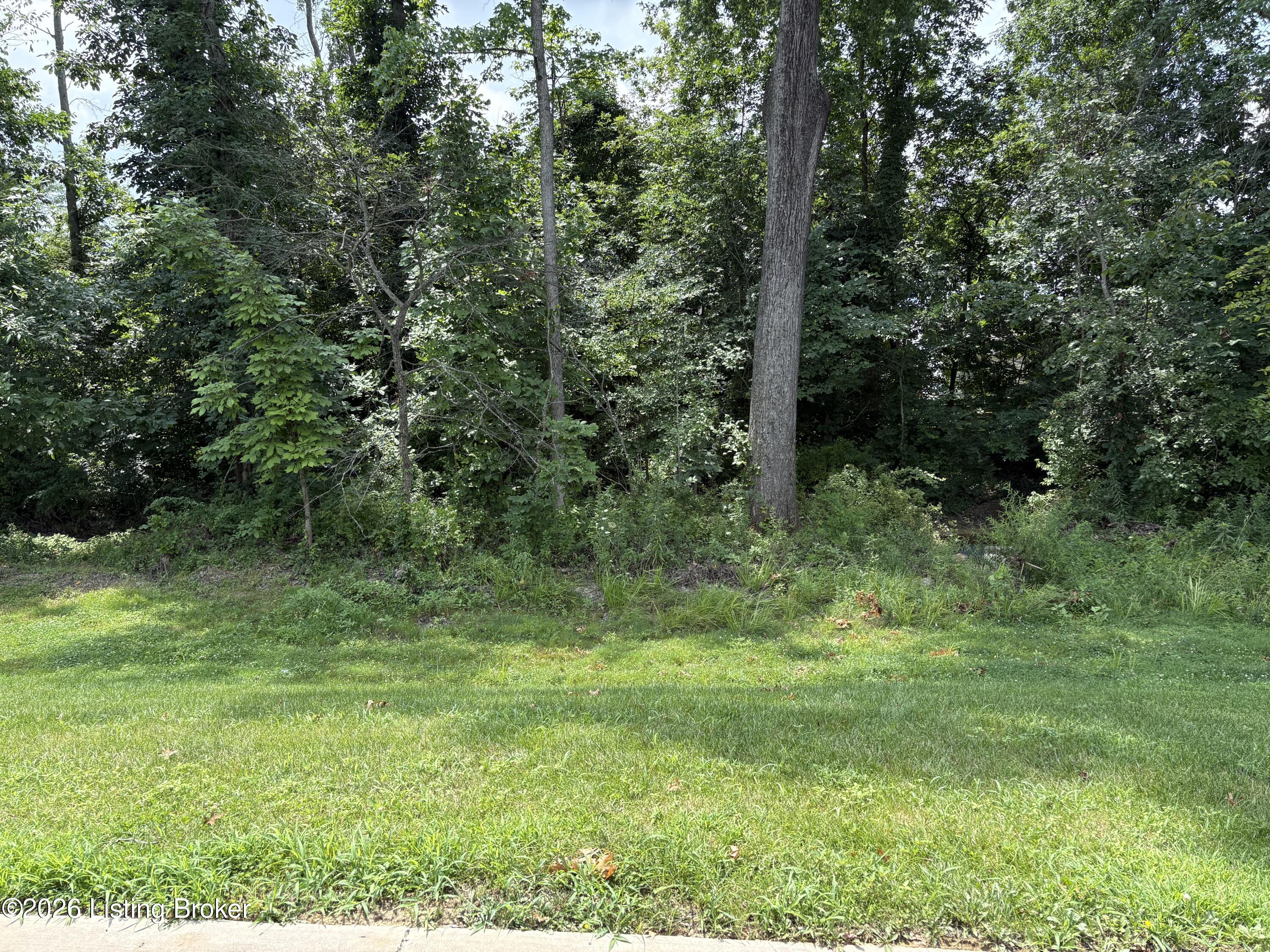 147 Harvest Moon Ct Property Photo 5