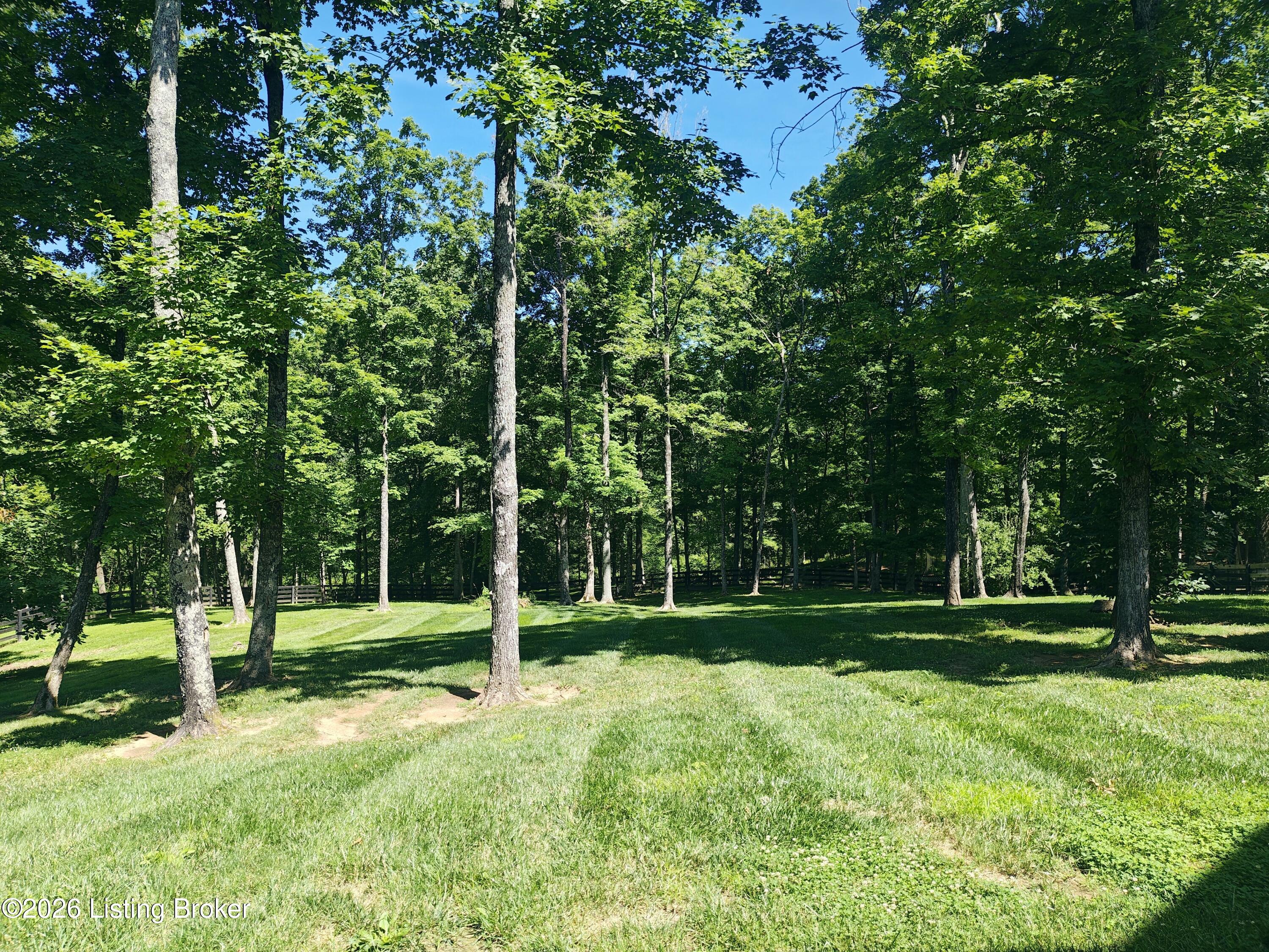 2003 Wooded Oak Ln Property Photo 44