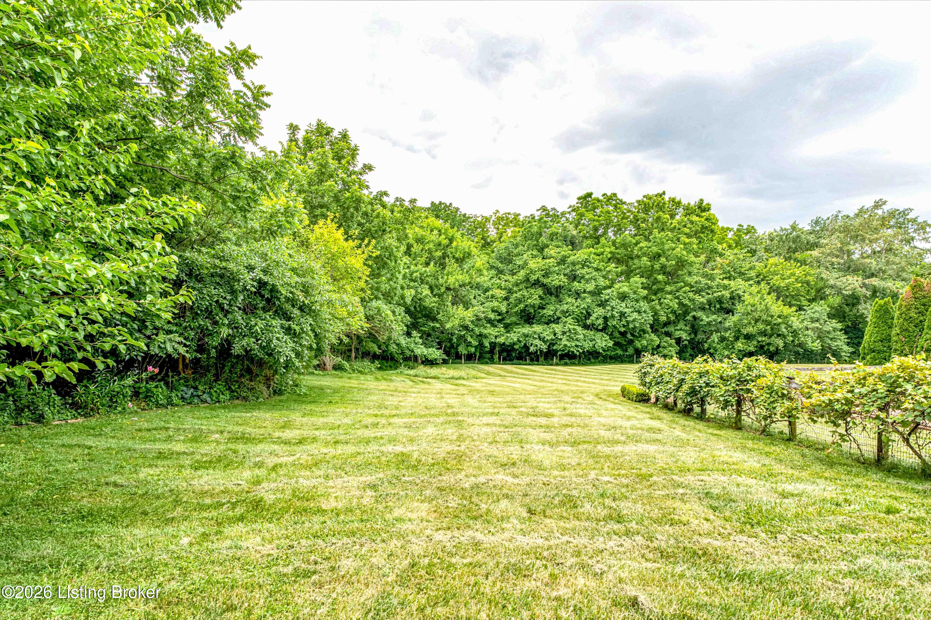 7325 Taylorsville Rd Property Photo 60