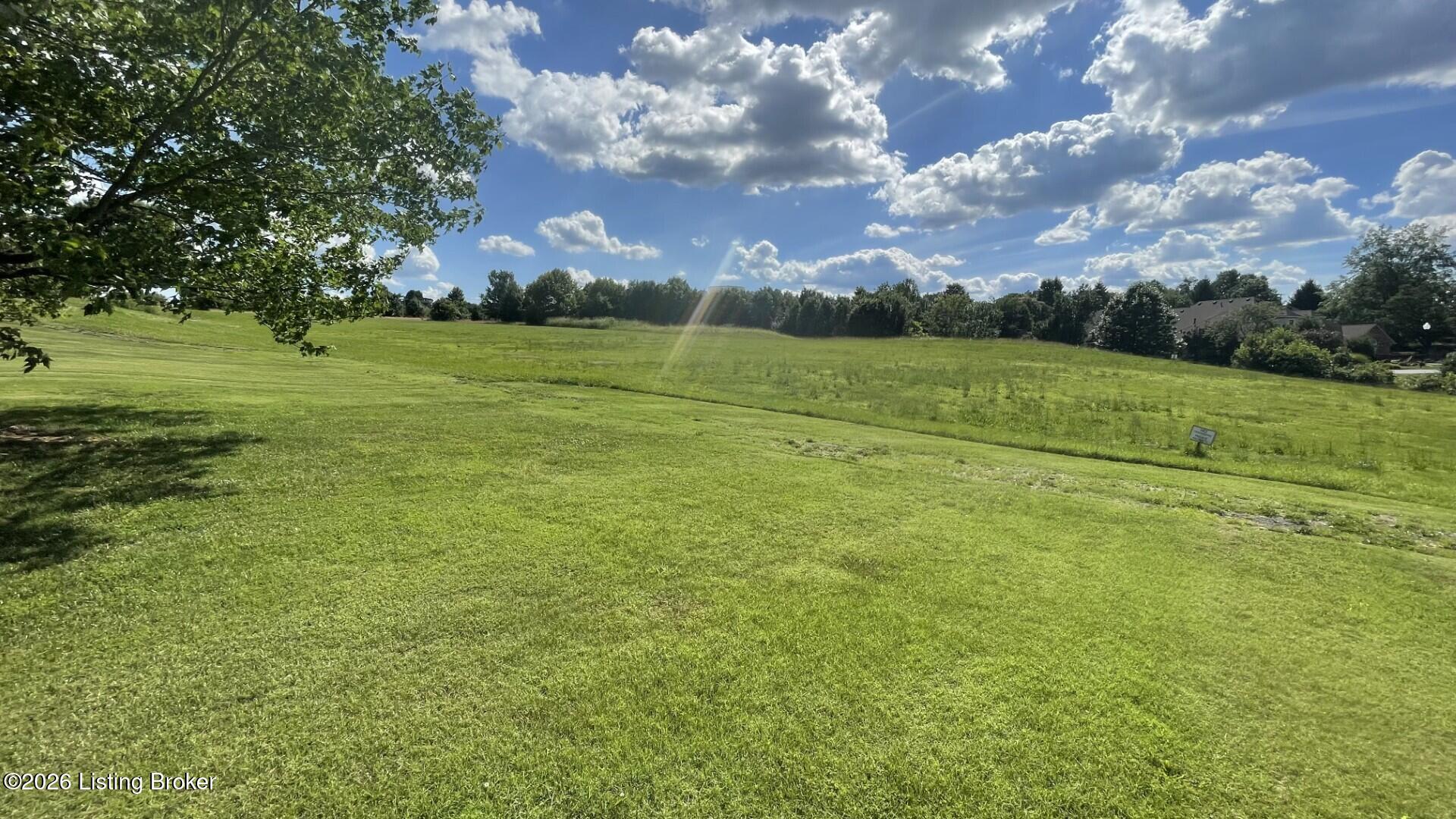 8120 Bohannon Station Rd Property Photo 15