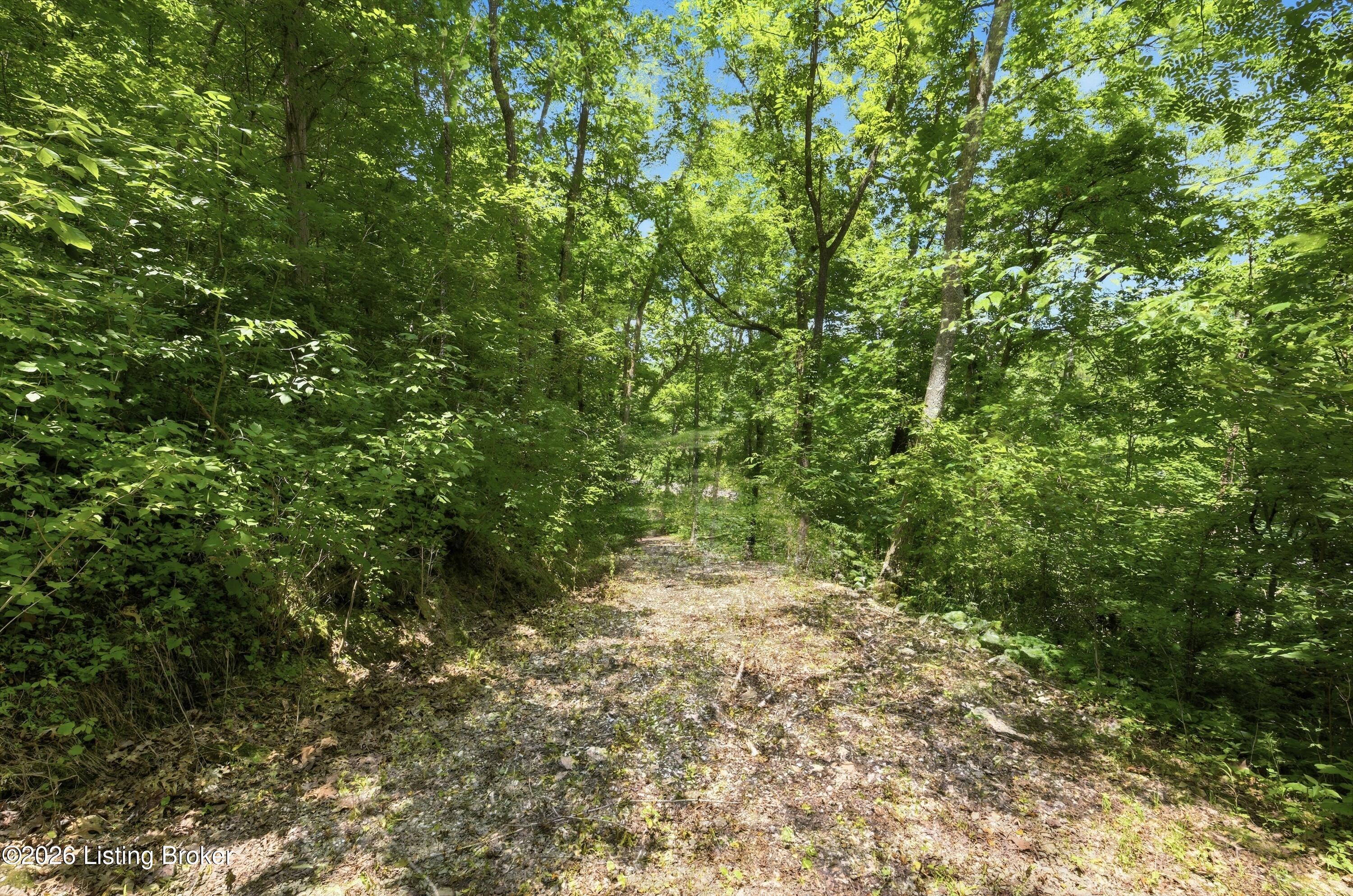 1411 Barebone Rd Property Photo 7