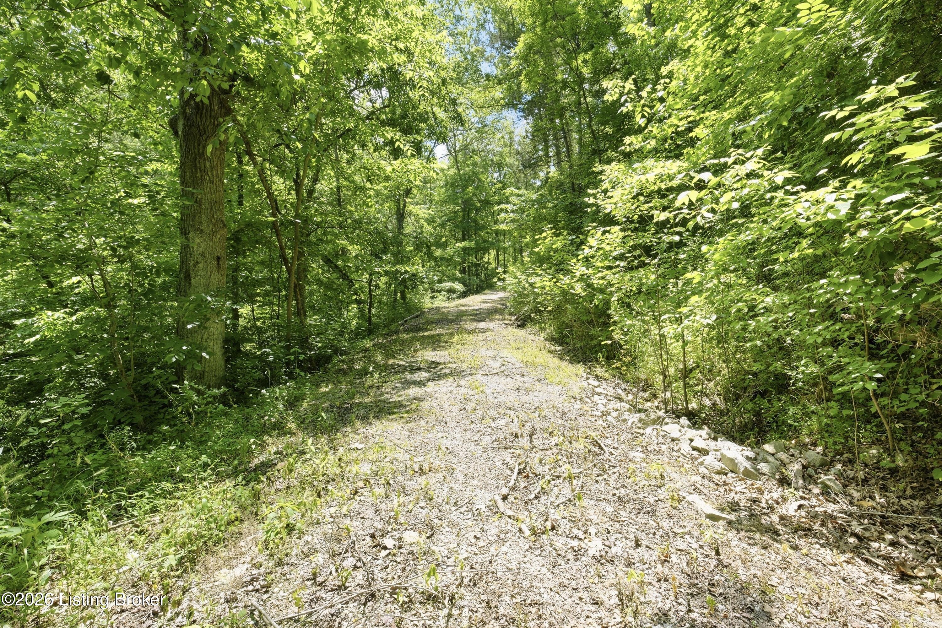 1411 Barebone Rd Property Photo 8