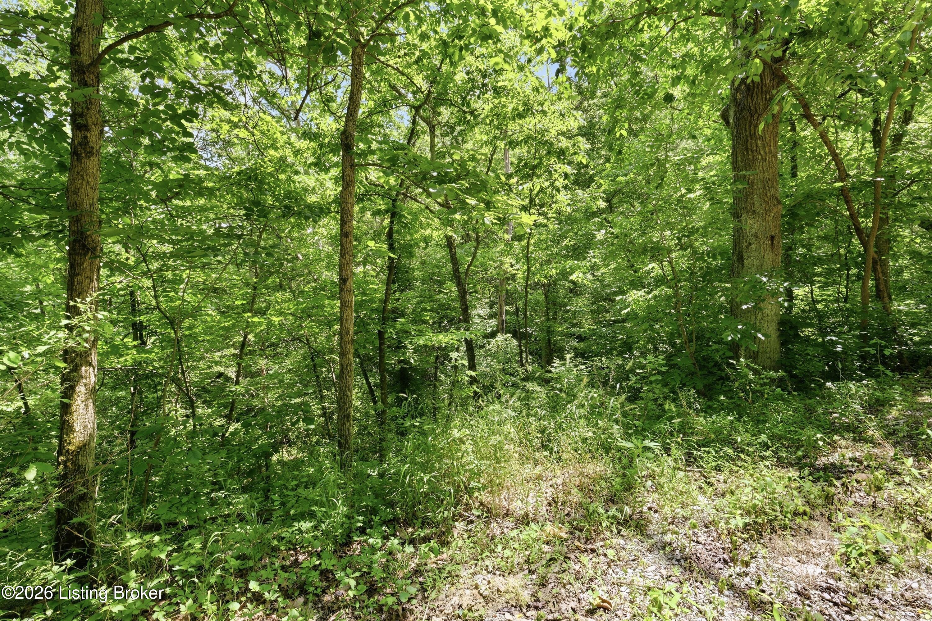1411 Barebone Rd Property Photo 9