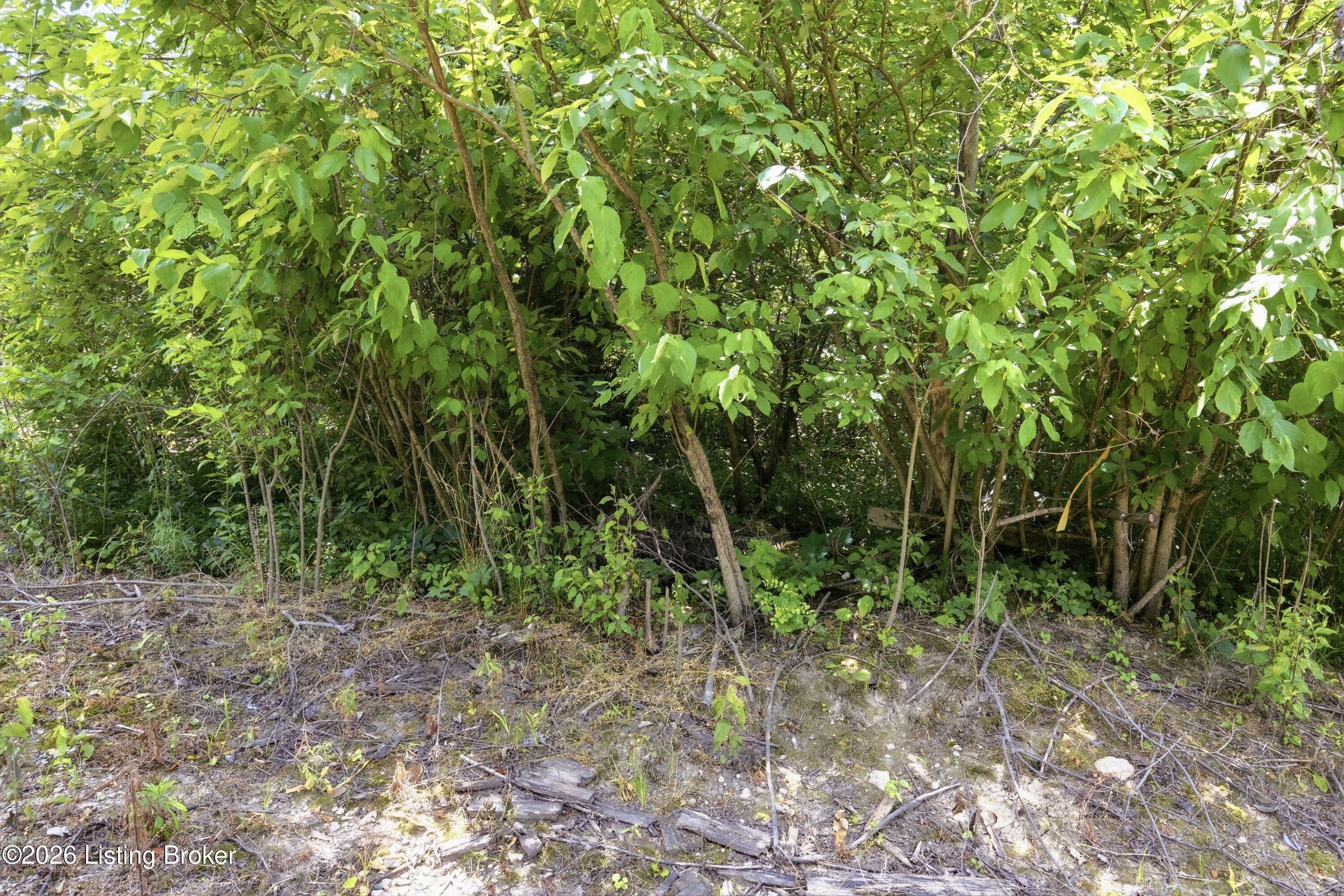 1411 Barebone Rd Property Photo 10
