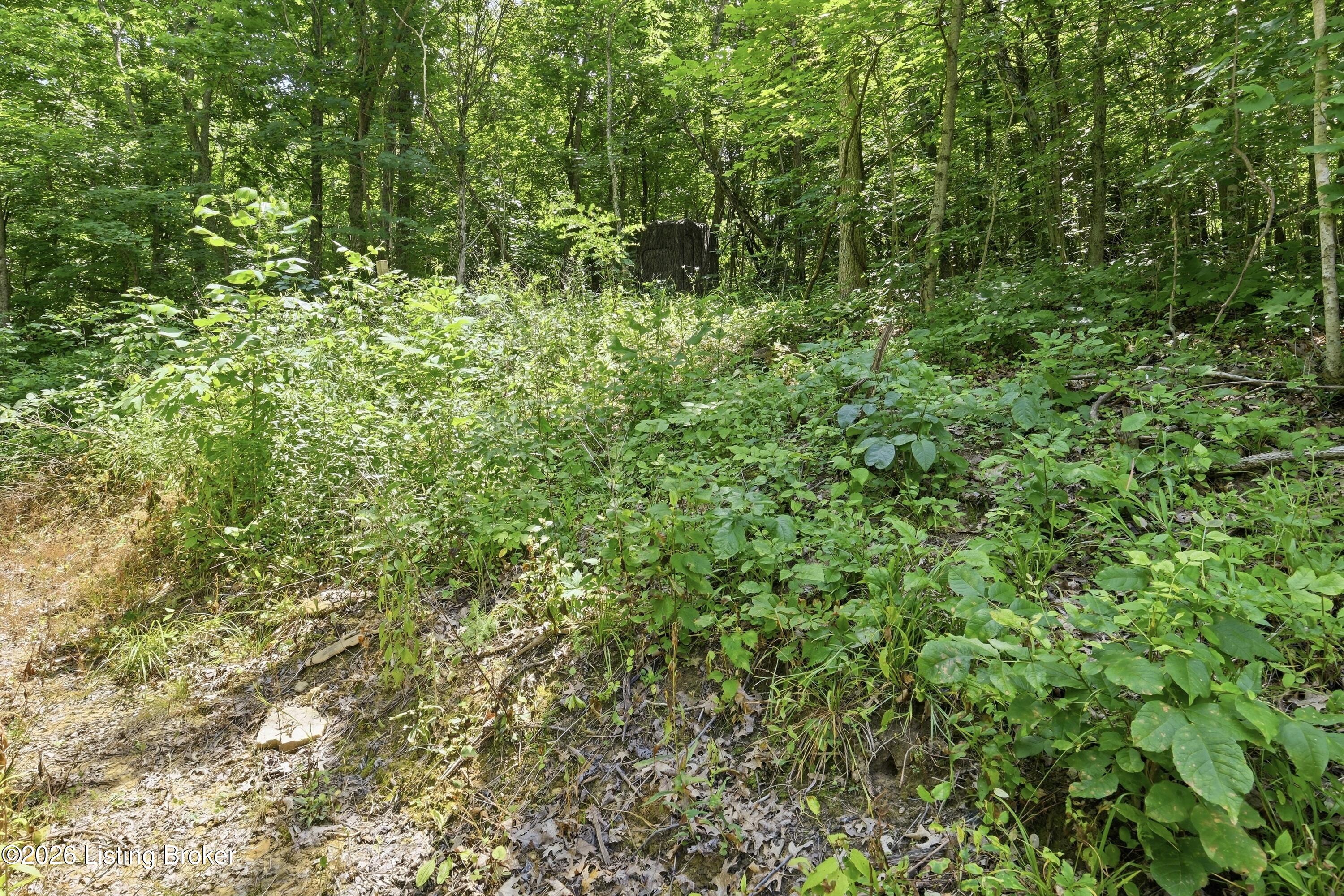 1411 Barebone Rd Property Photo 13