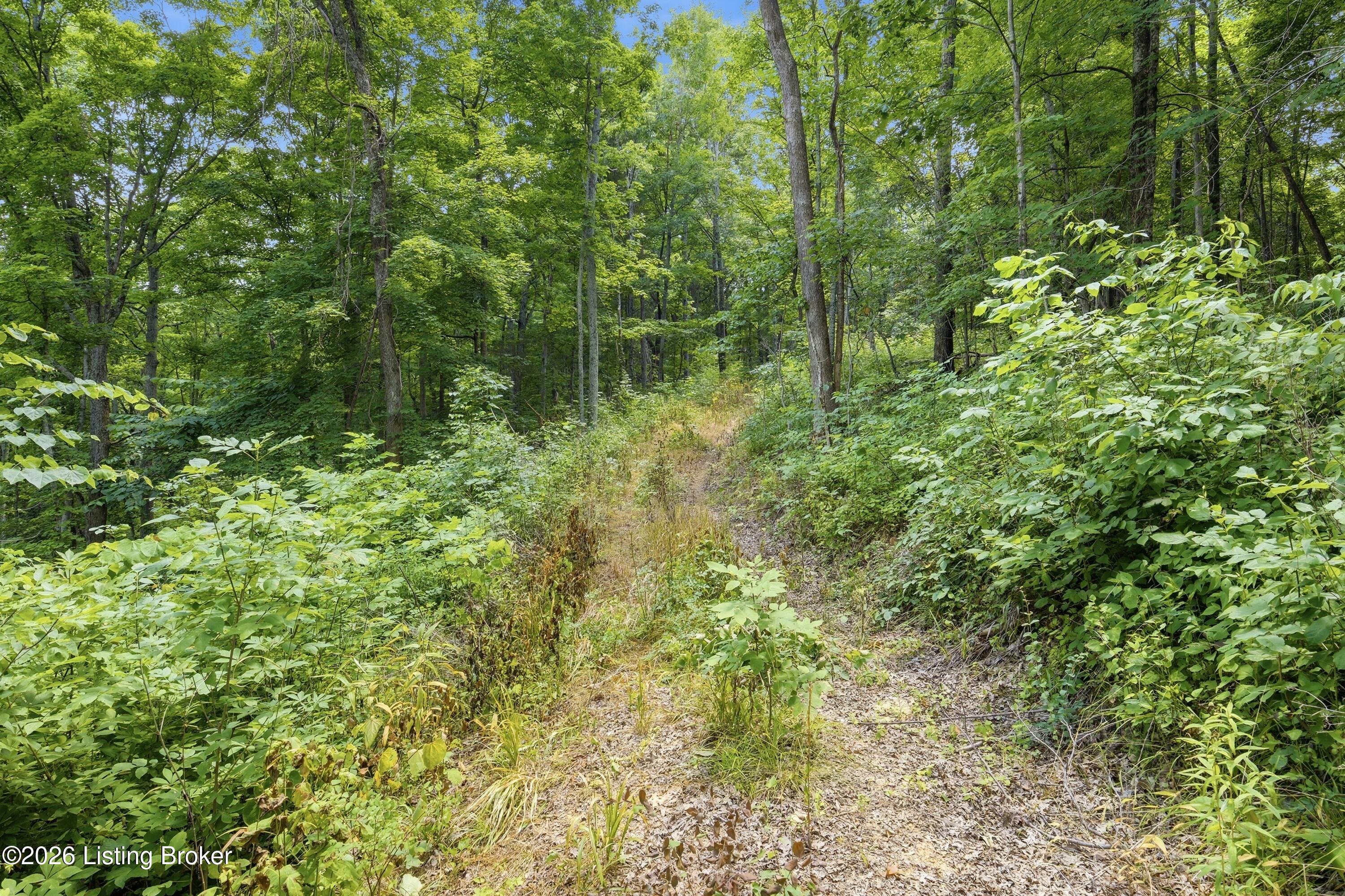 1411 Barebone Rd Property Photo 14